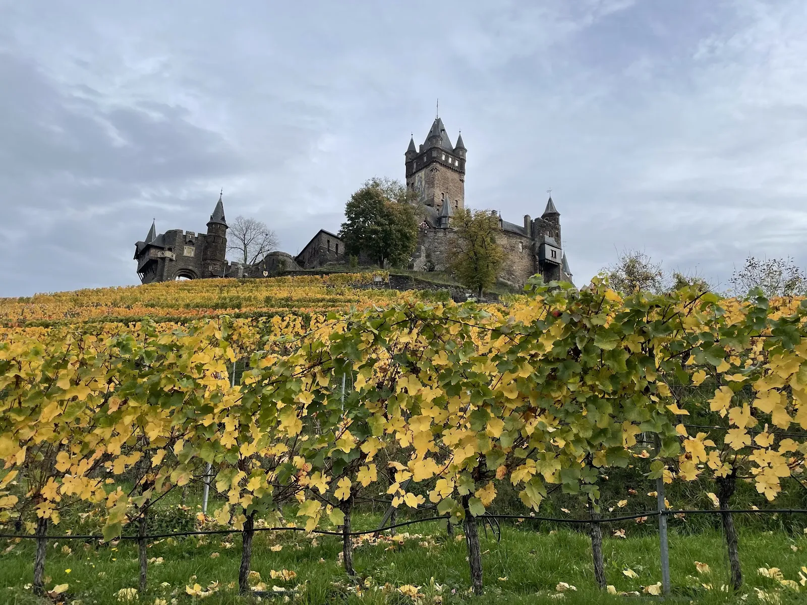 Вид на замок Райхсбург над рекой Мозель