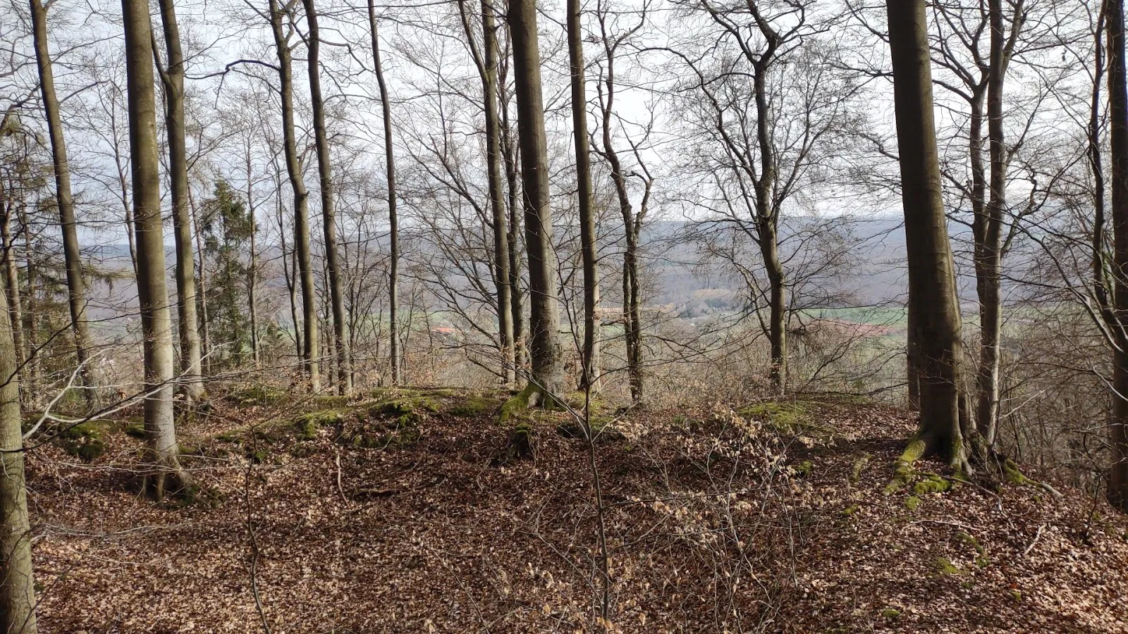 Фотография замка Танненфельс