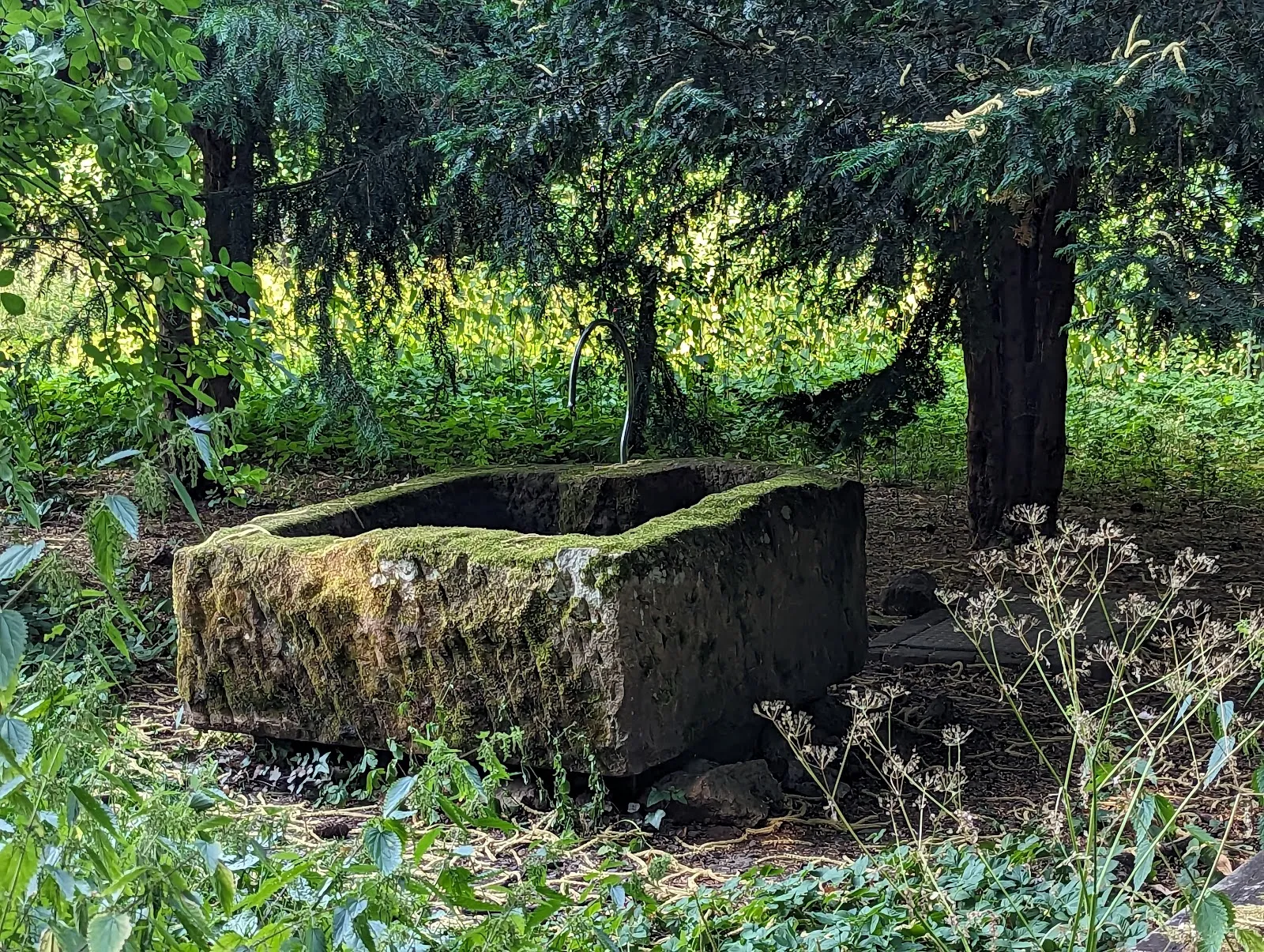 Фотография замка Танненфельс