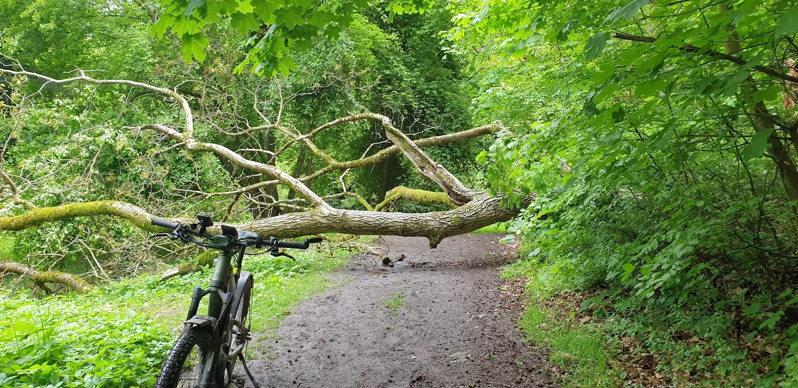 Фотография замка Танненфельс