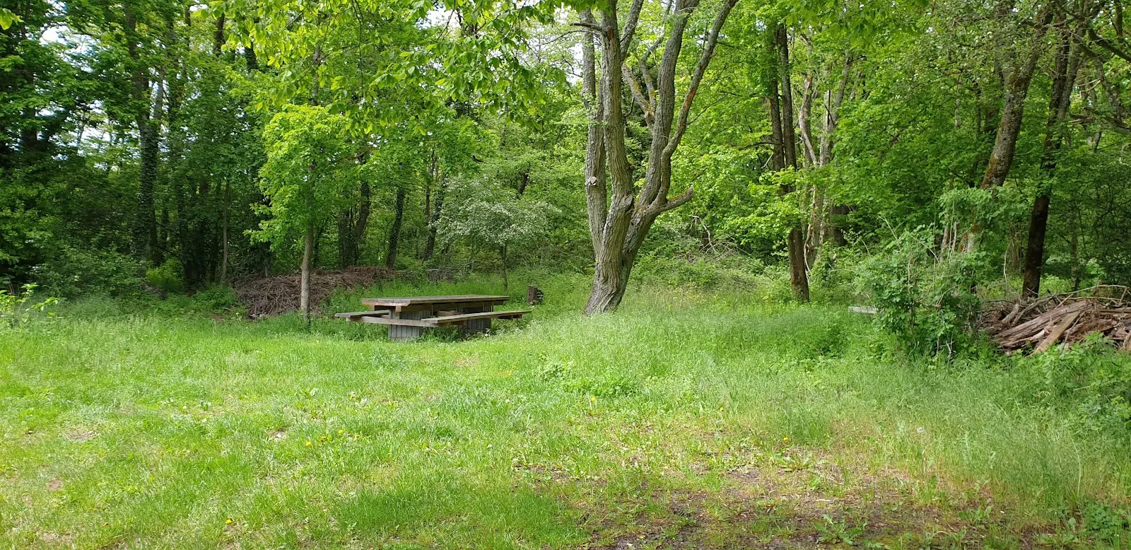 Фотография замка Танненфельс