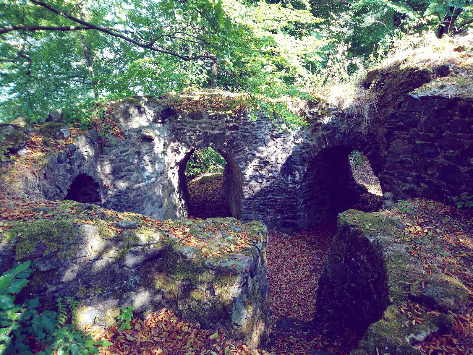 Вид на замок Трингенштайн с окружающей местностью