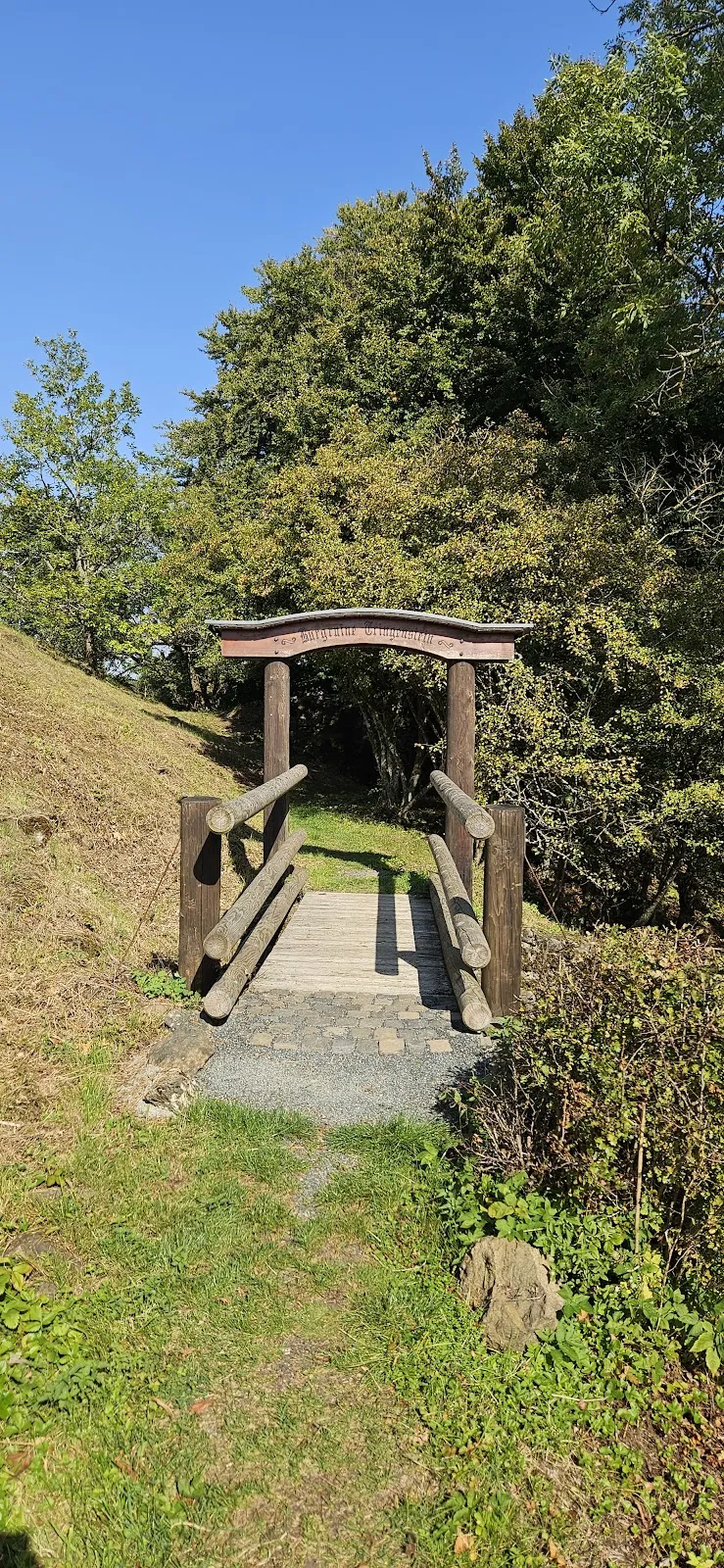 Вид на замок Трингенштайн с окружающей местностью