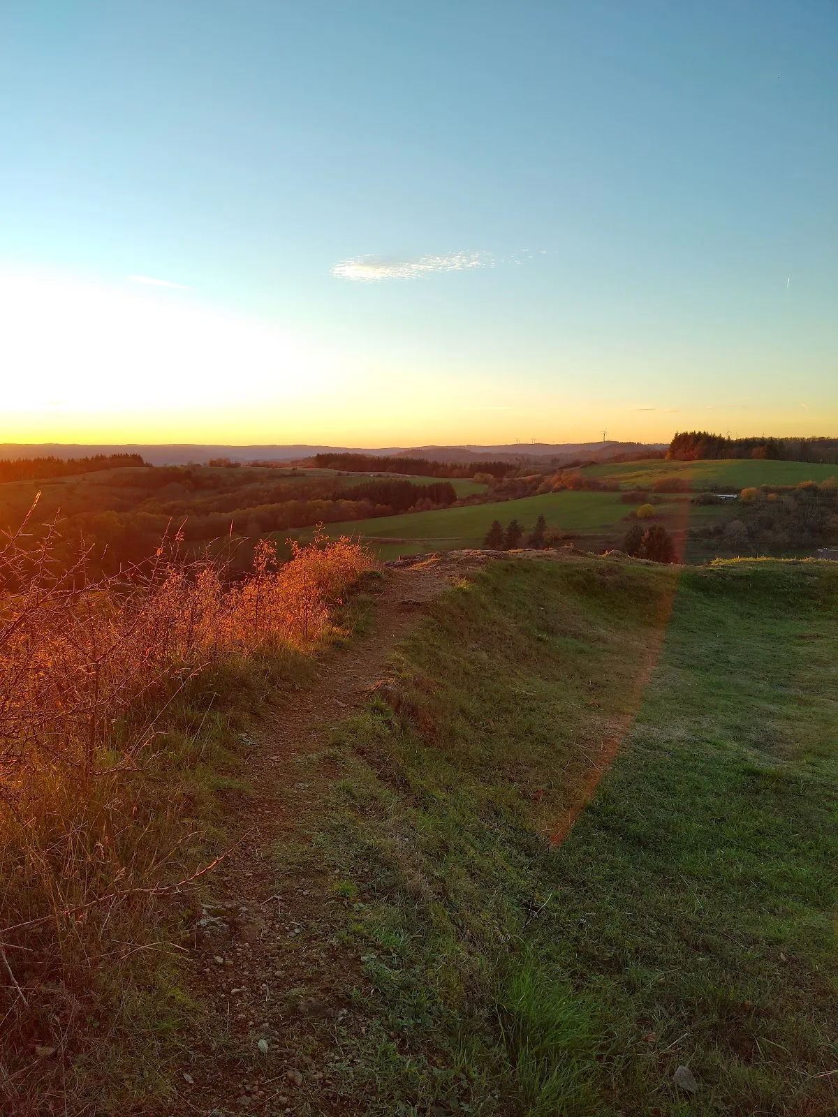 Вид на замок Трингенштайн с окружающей местностью