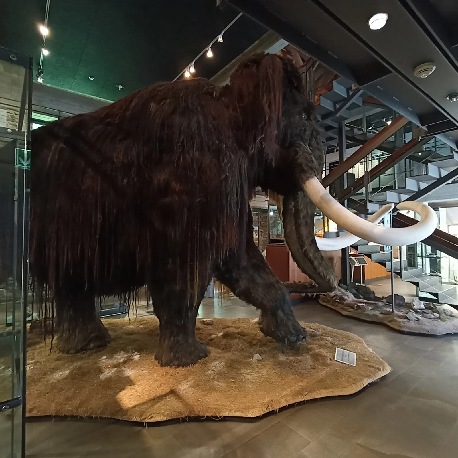 Вид на Замок Вердринген с его историческими стенами и башнями