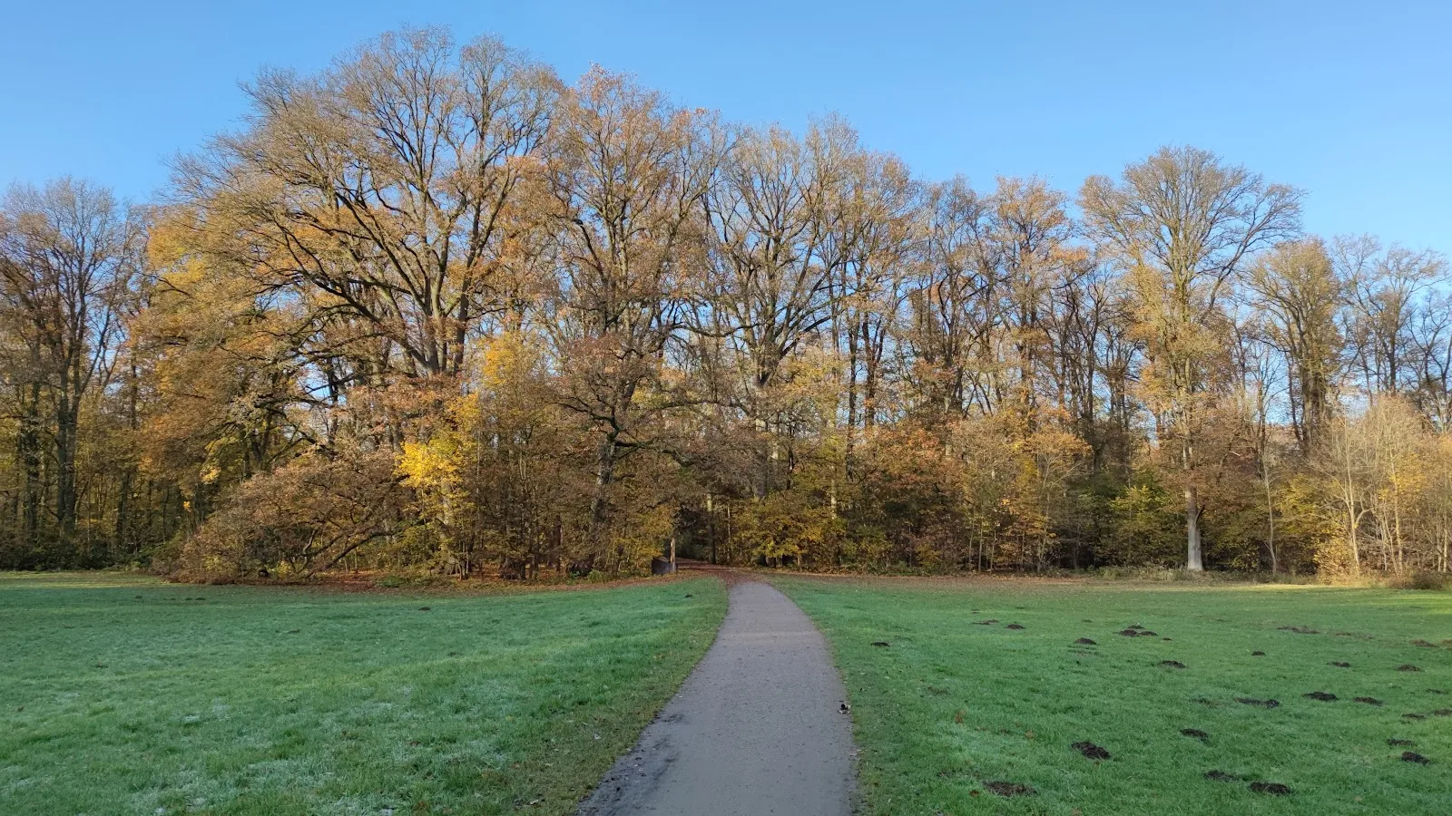 Природный пейзаж Заповедника Ам Штадтвальдзе с озером и зеленью