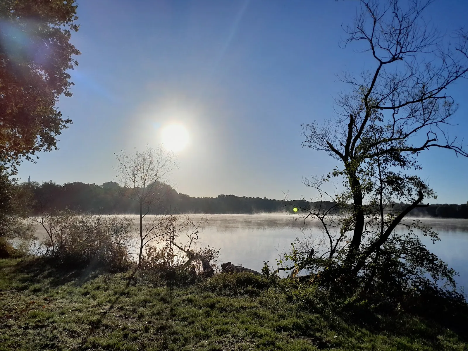 Природный пейзаж Заповедника Ам Штадтвальдзе с озером и зеленью