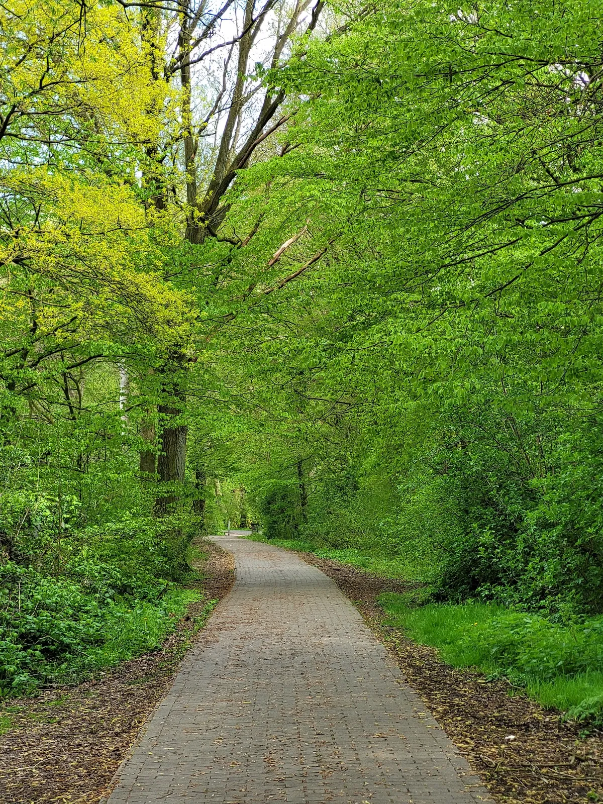 Природный пейзаж Заповедника Ам Штадтвальдзе с озером и зеленью