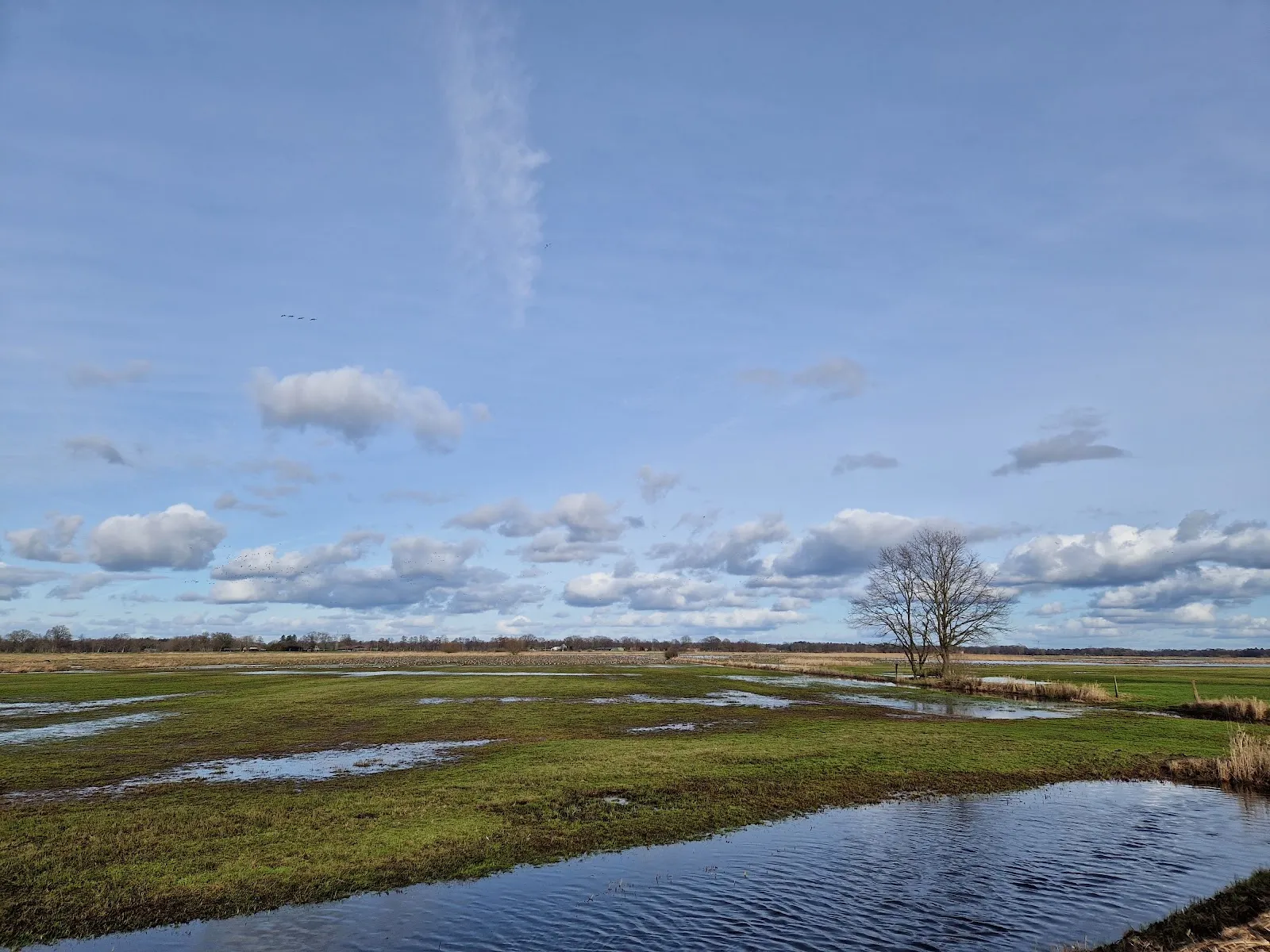 Заповедник Боргфельдер Вюммевизен