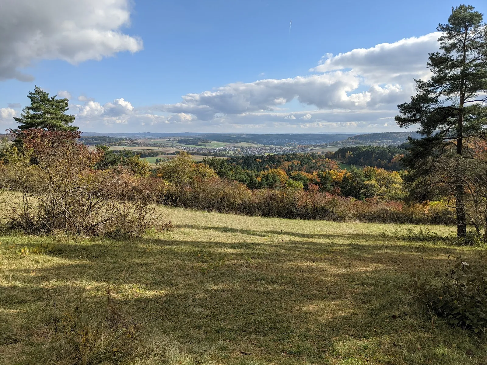 Заповедник Бюхельберг
