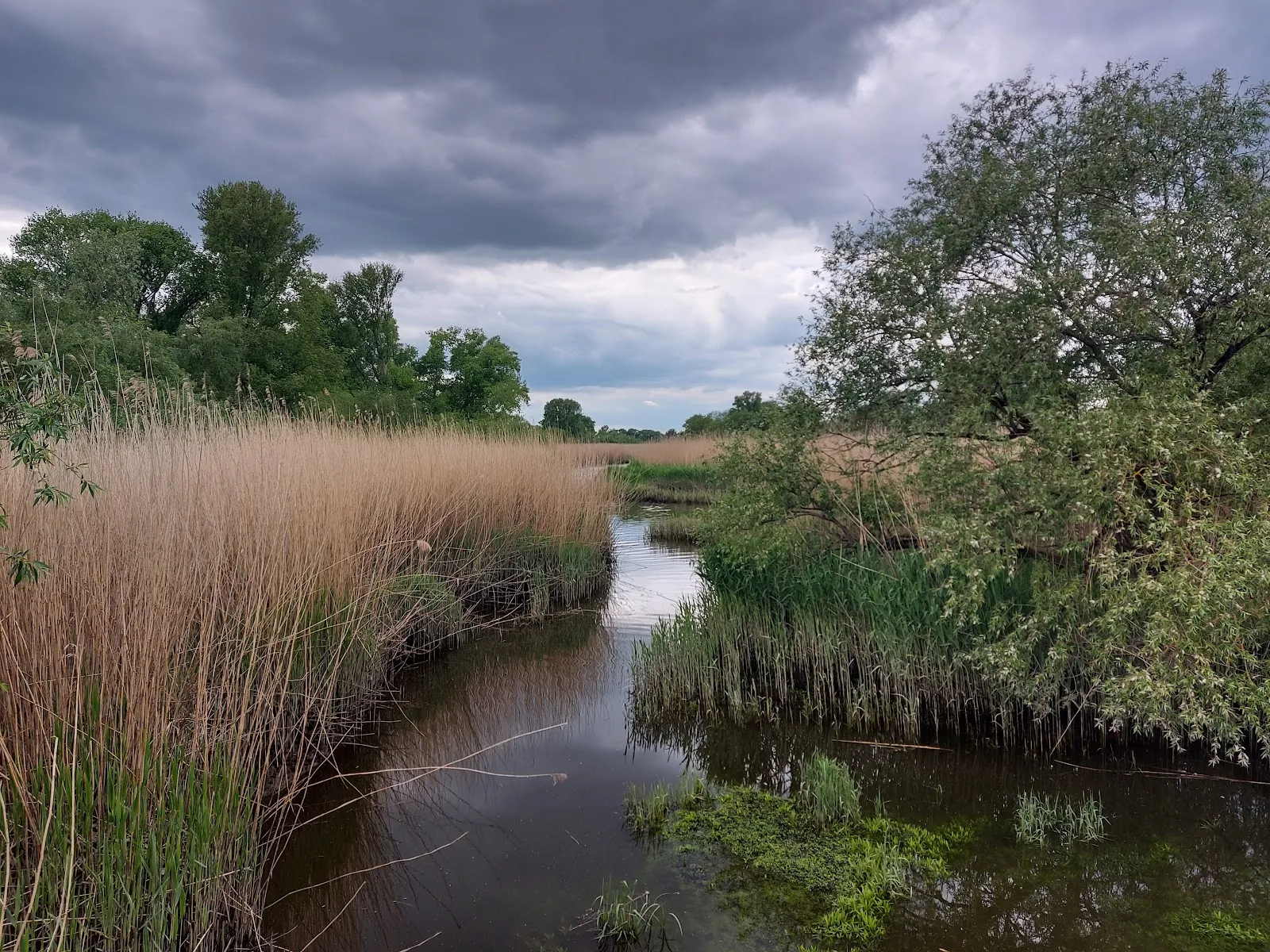 Заповедник Хокенлок