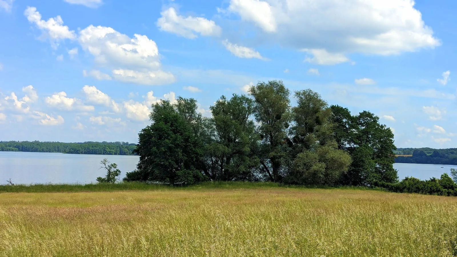 Ландшафт заповедника Нонненхоф с деревьями и полянами