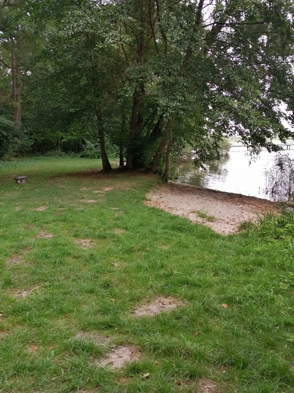 Ландшафт заповедника Нонненхоф с деревьями и полянами