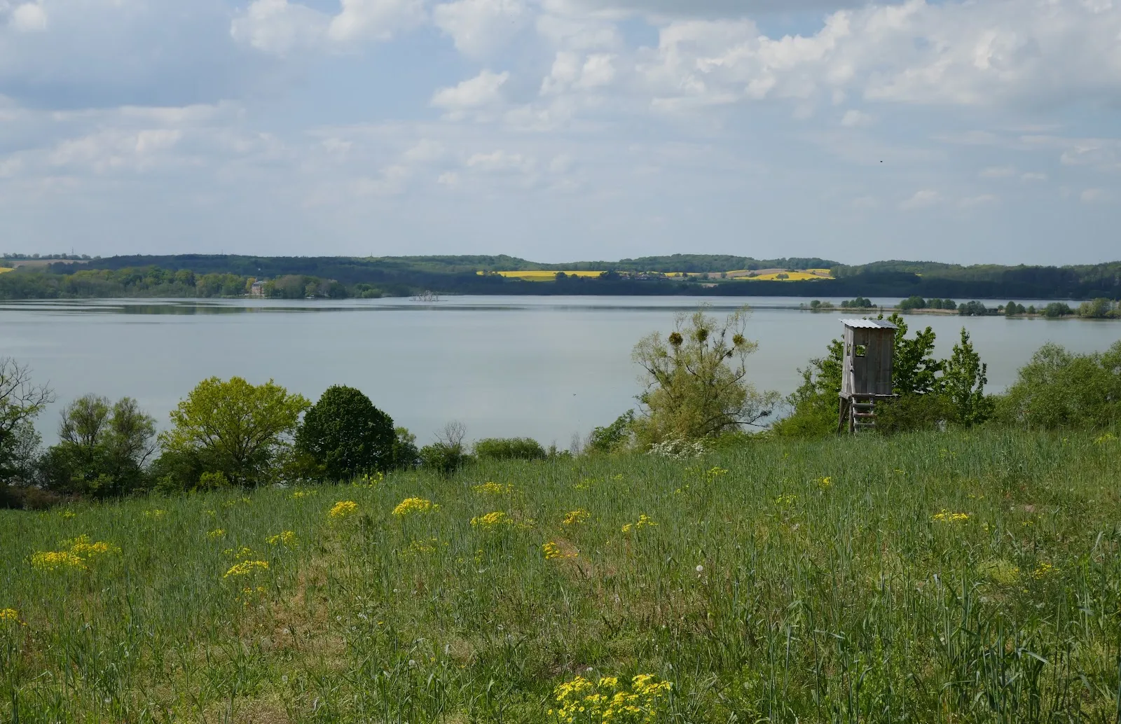 Ландшафт заповедника Нонненхоф с деревьями и полянами