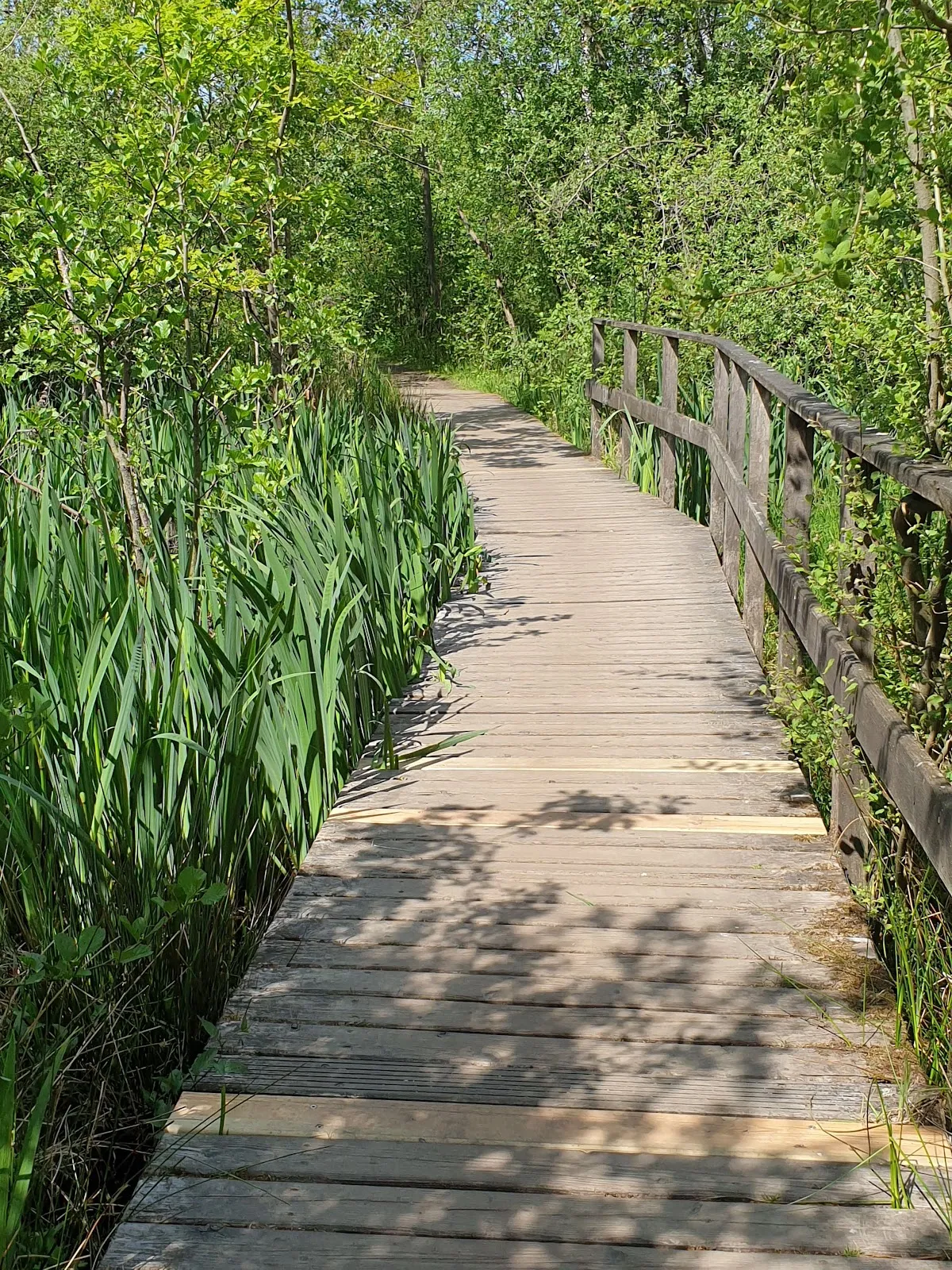 Природный пейзаж Заповедника Раакмор с болотами и растительностью.
