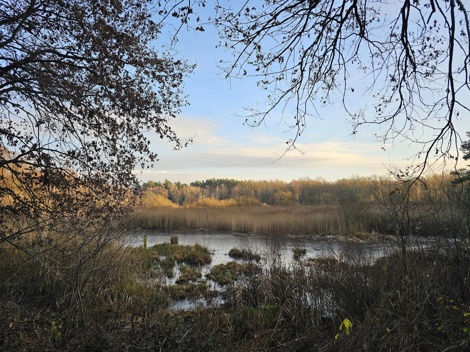 Природный пейзаж Заповедника Раакмор с болотами и растительностью.
