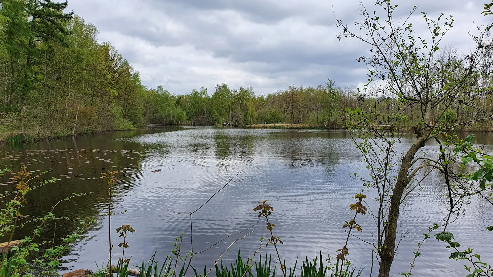 Природный пейзаж Заповедника Раакмор с болотами и растительностью.