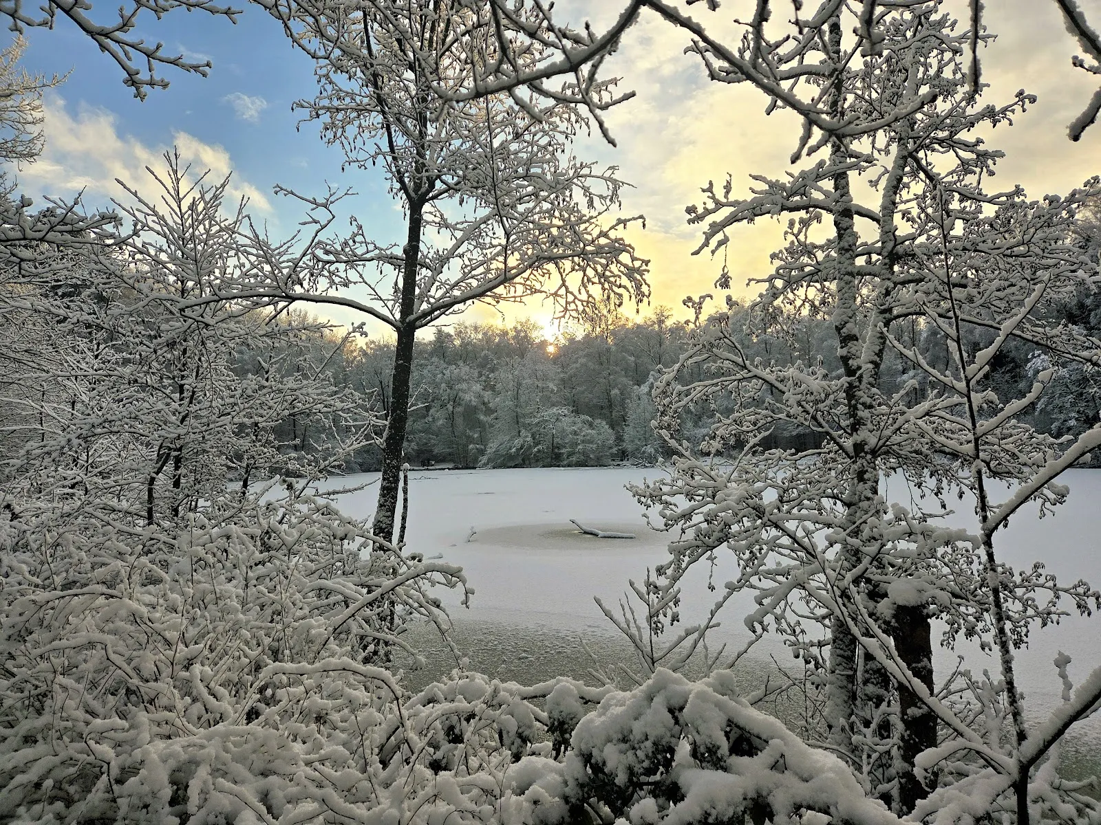 Природный пейзаж Заповедника Раакмор с болотами и растительностью.