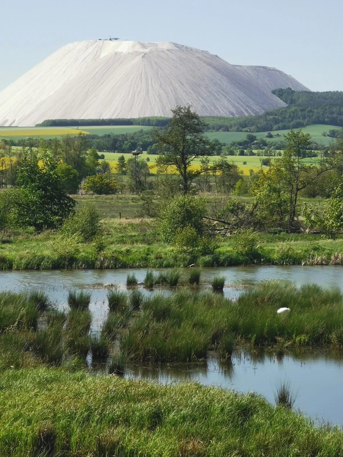 Заповедник Реден бай Оберзуль унд Боссероде
