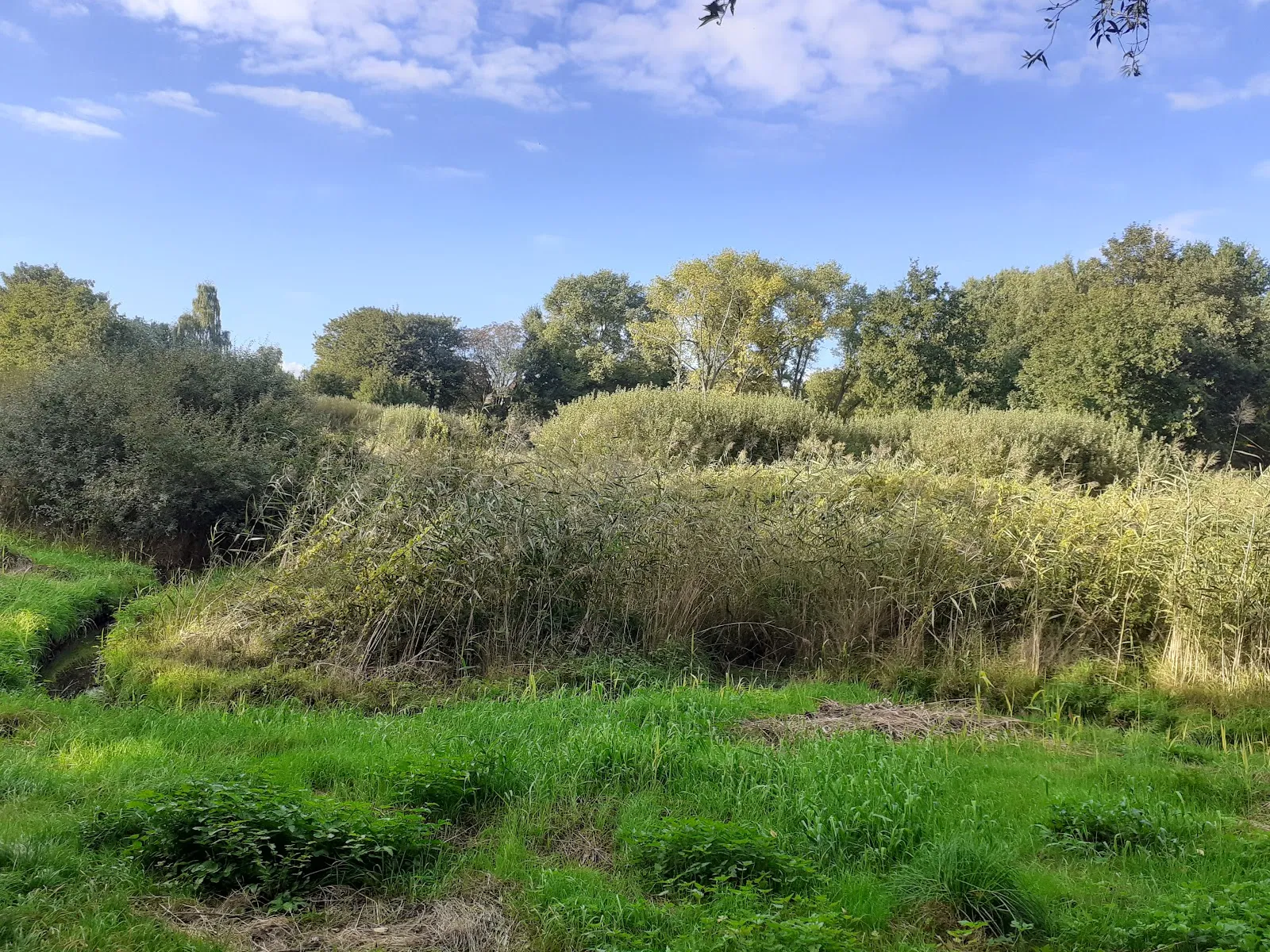 Заповедник Рушдальмор