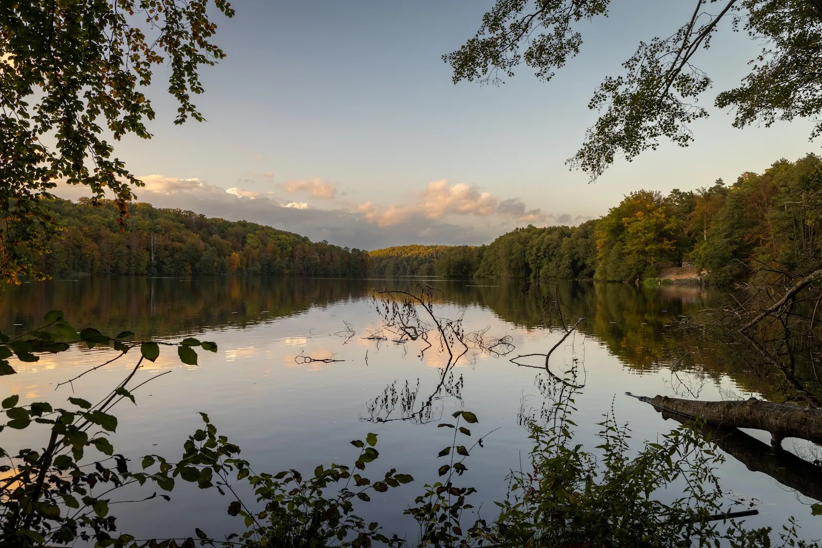 Природный заповедник Шлаубеталь с озером и лесом