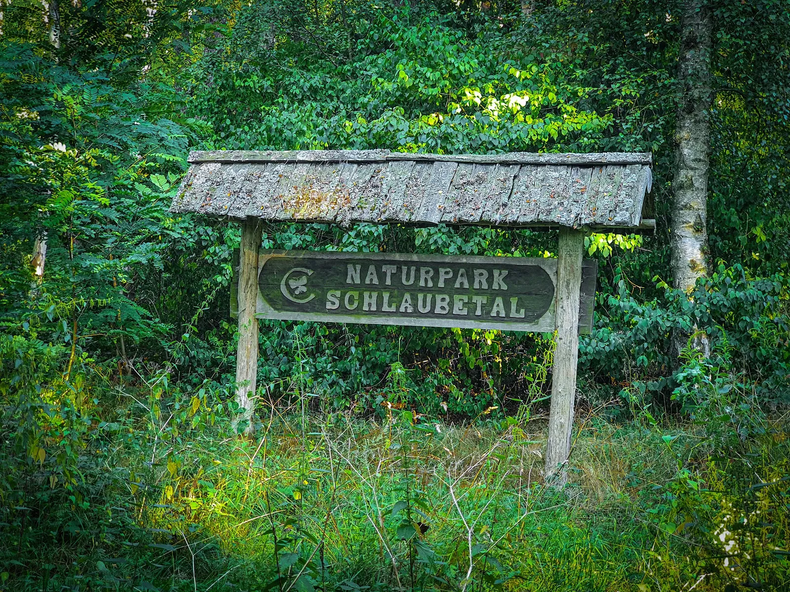 Природный заповедник Шлаубеталь с озером и лесом