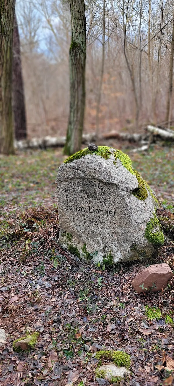 Природный заповедник Шлаубеталь с озером и лесом