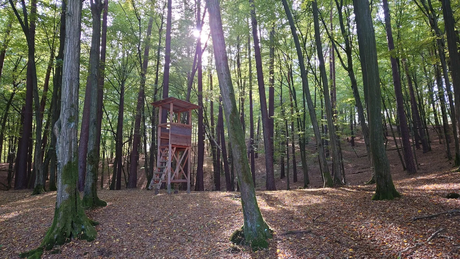 Природный заповедник Шлаубеталь с озером и лесом