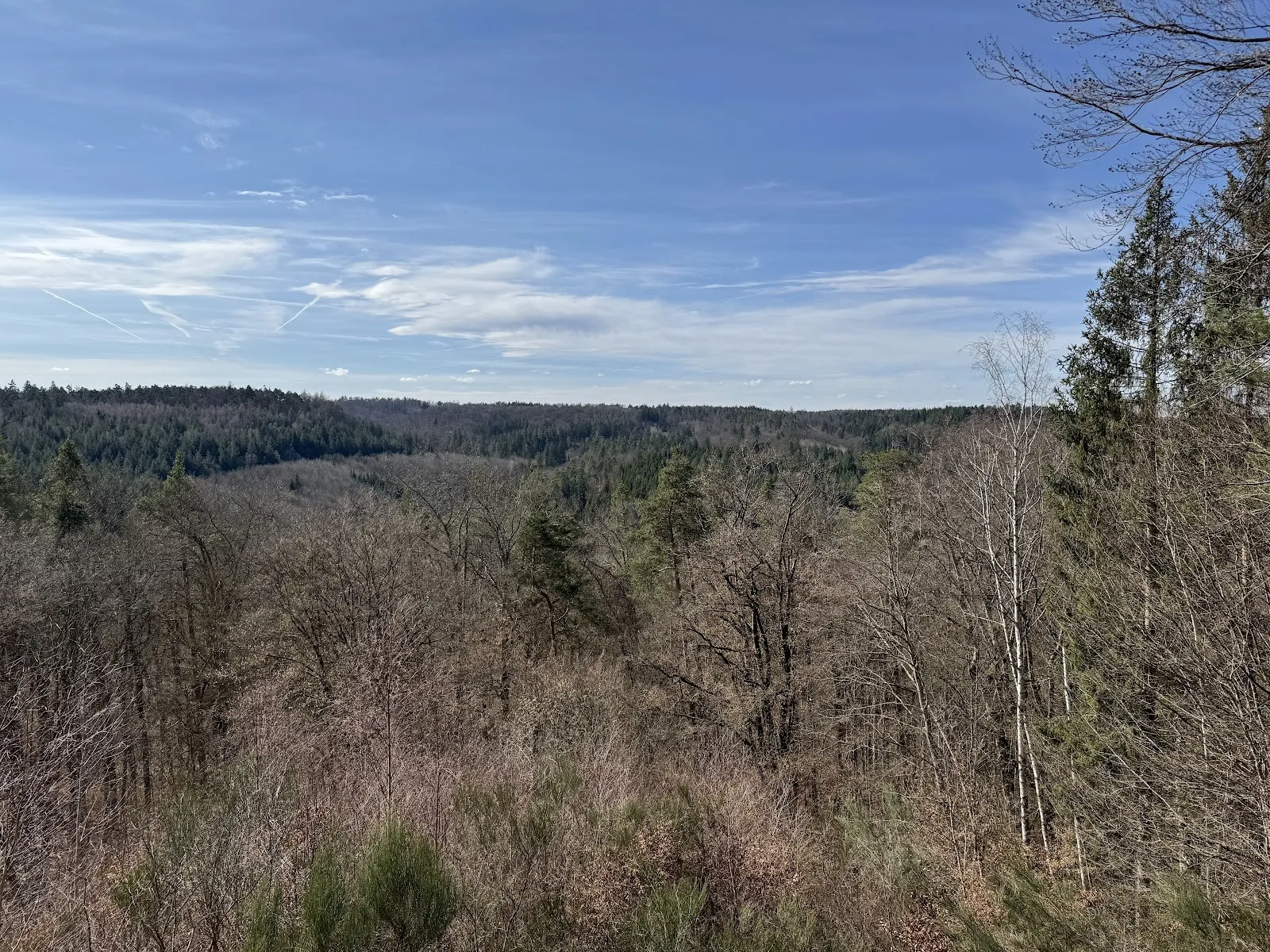 Заповедник Шёнбух