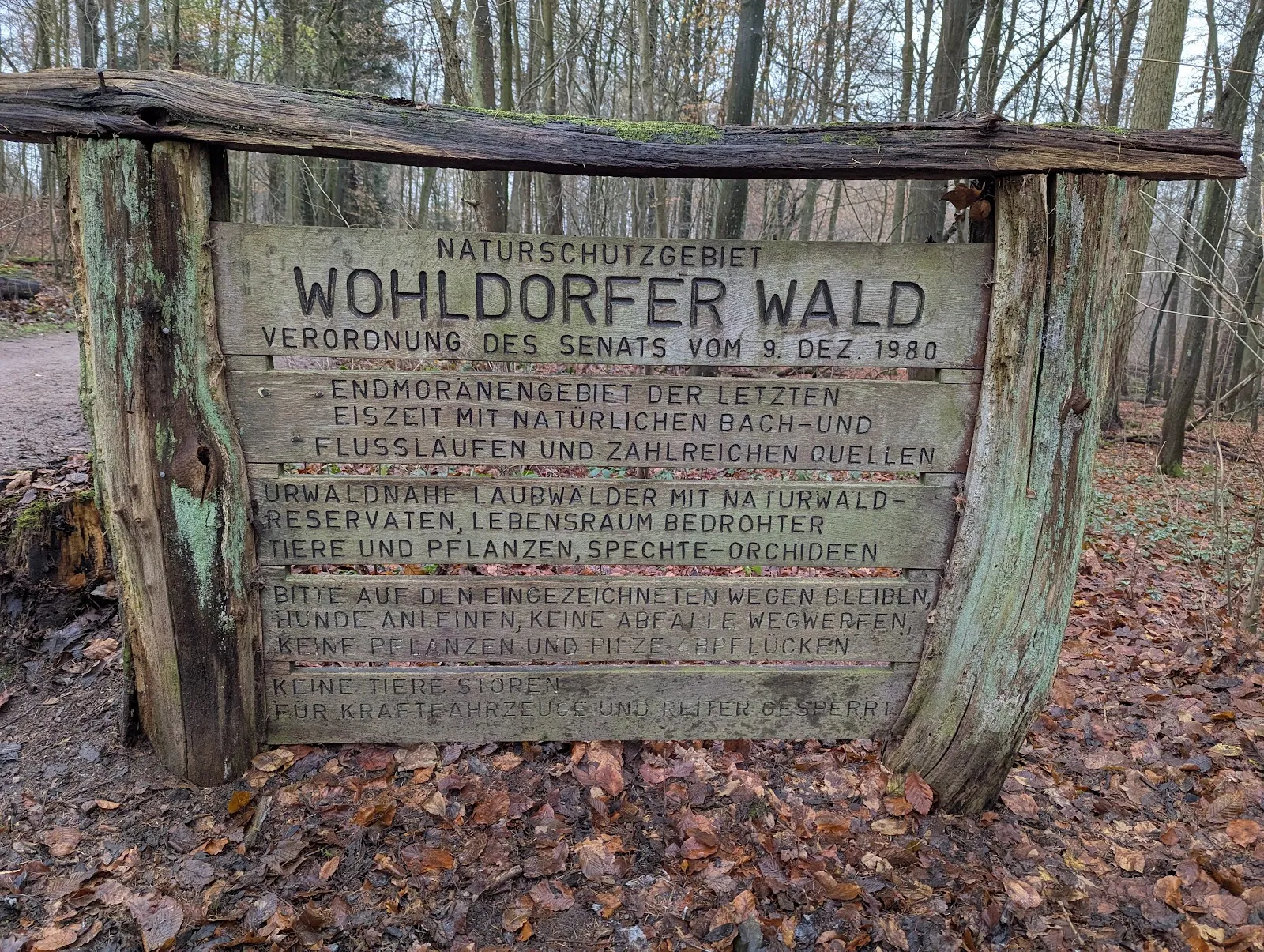 Заповедник Вальд-Бёдер