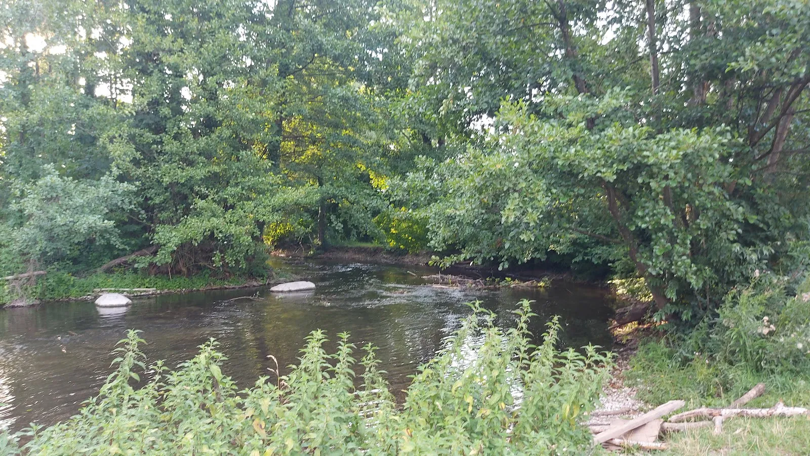 Заповедник Вюрминзель