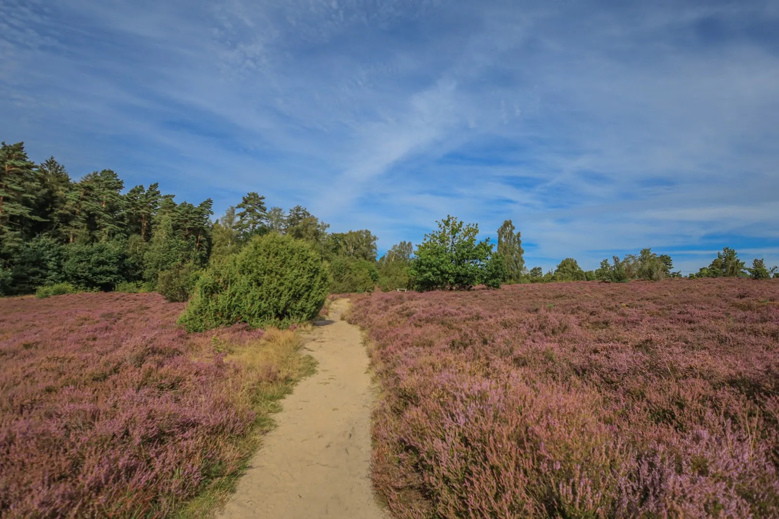 Заповедник Зюдхайде