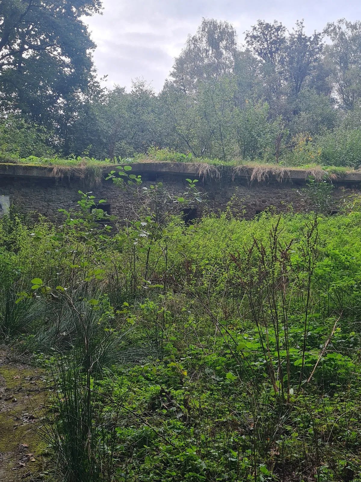 Вид на парк 