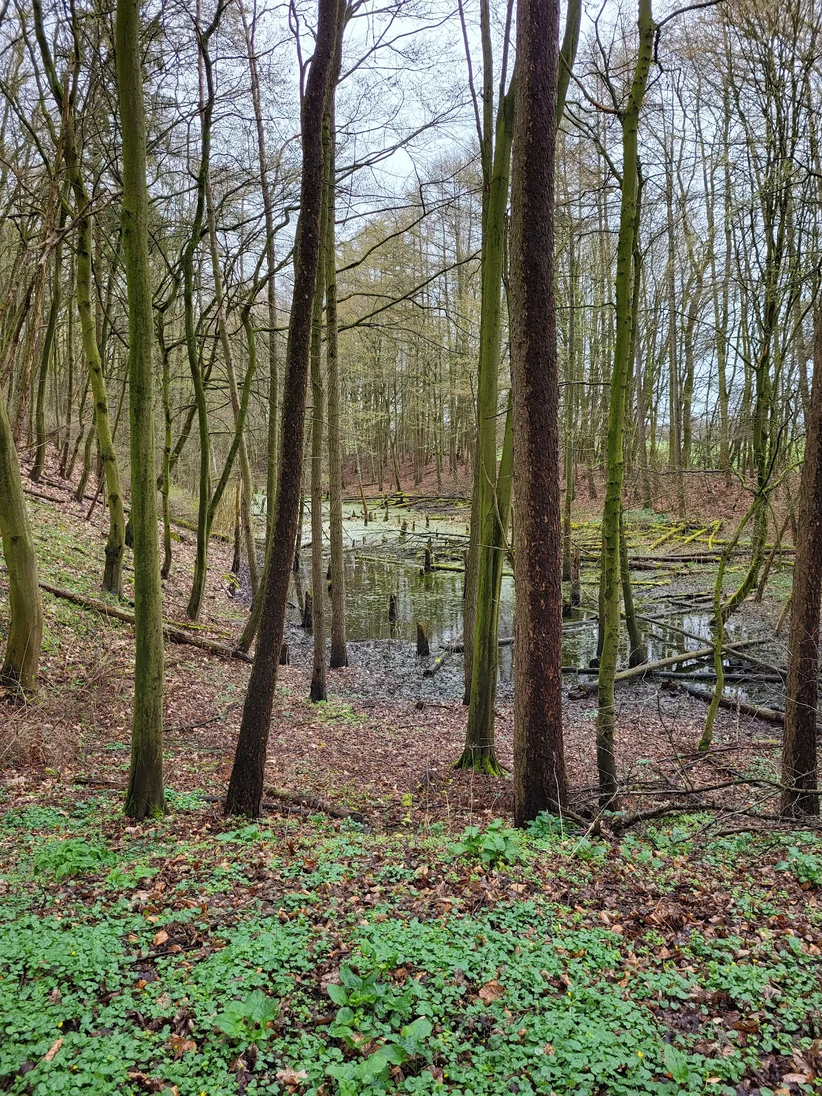 Вид на парк 