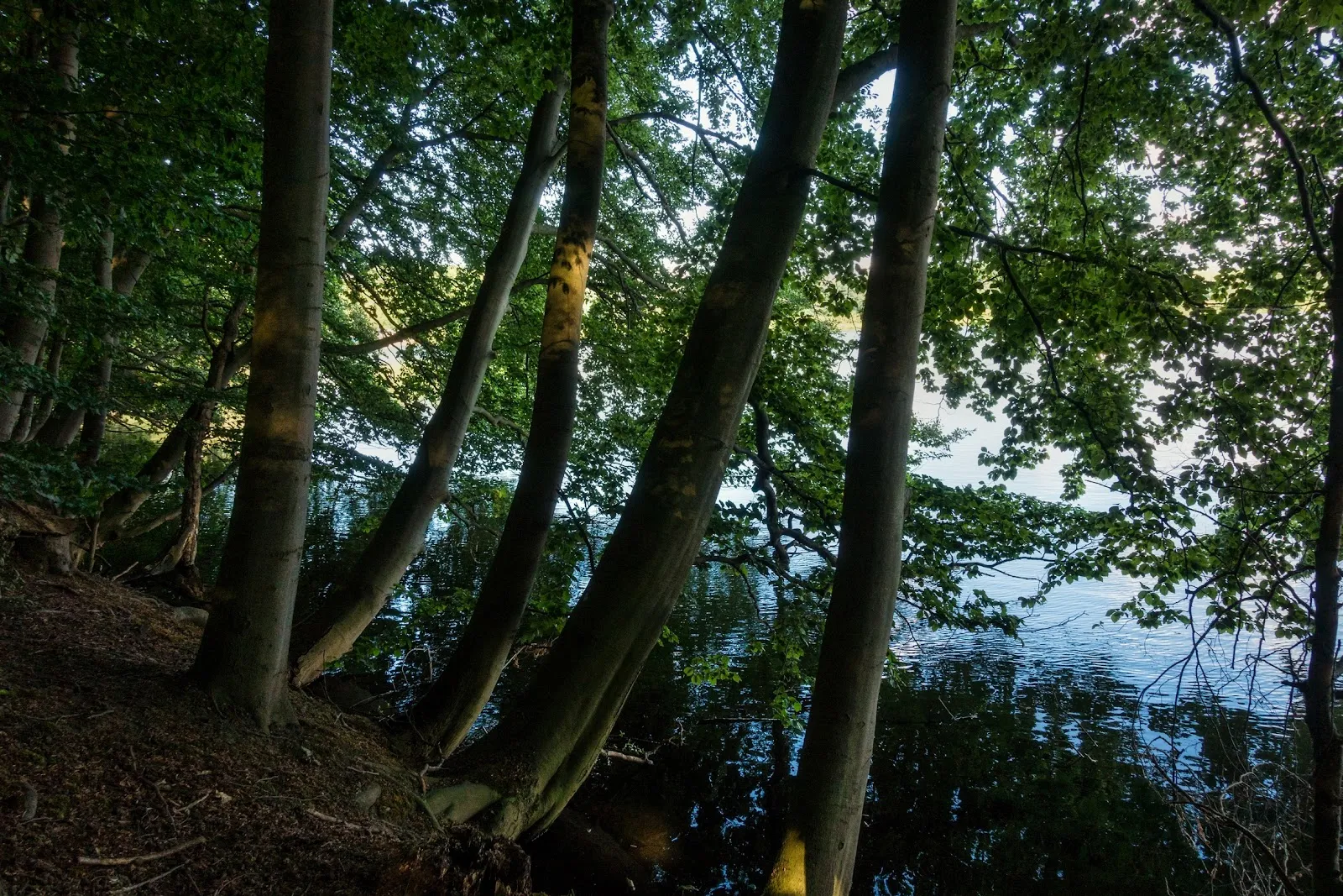 Вид на парк 