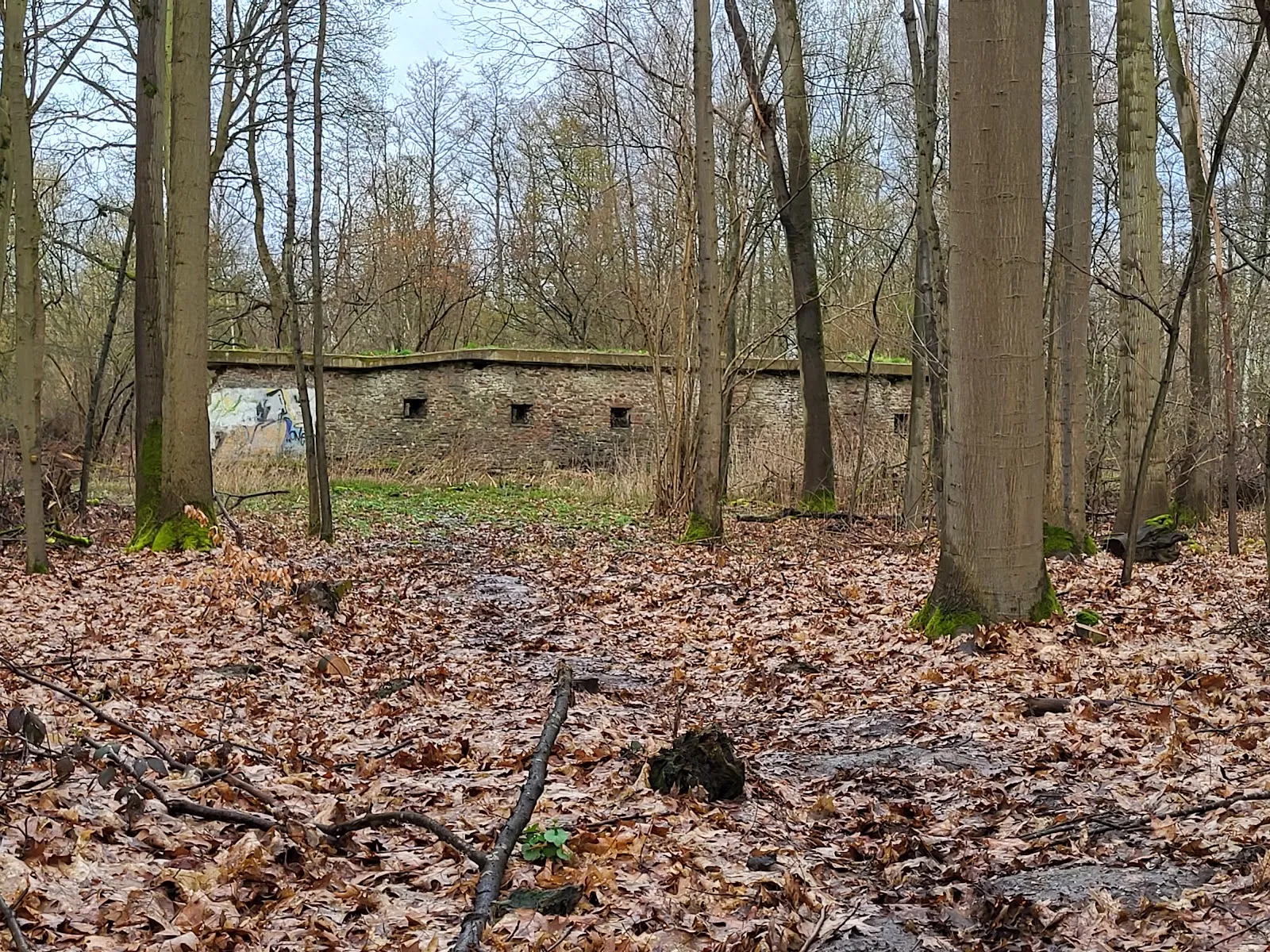 Вид на парк 