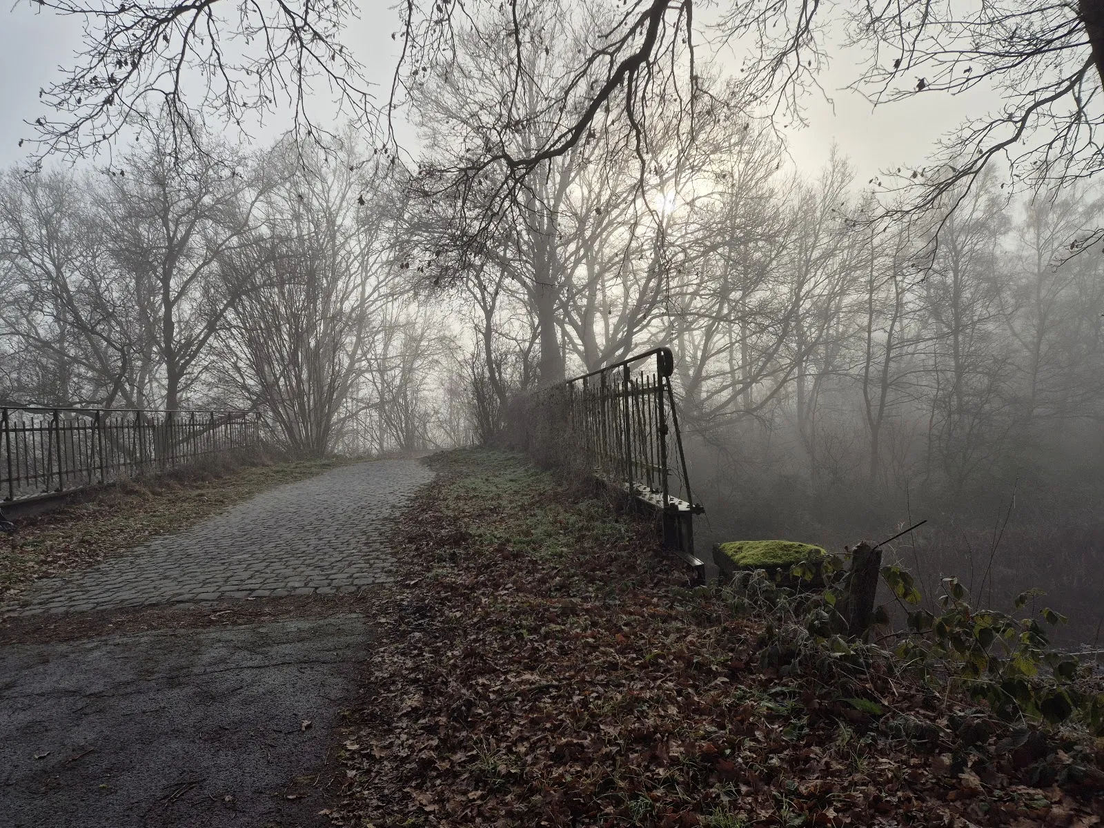 Вид на парк 