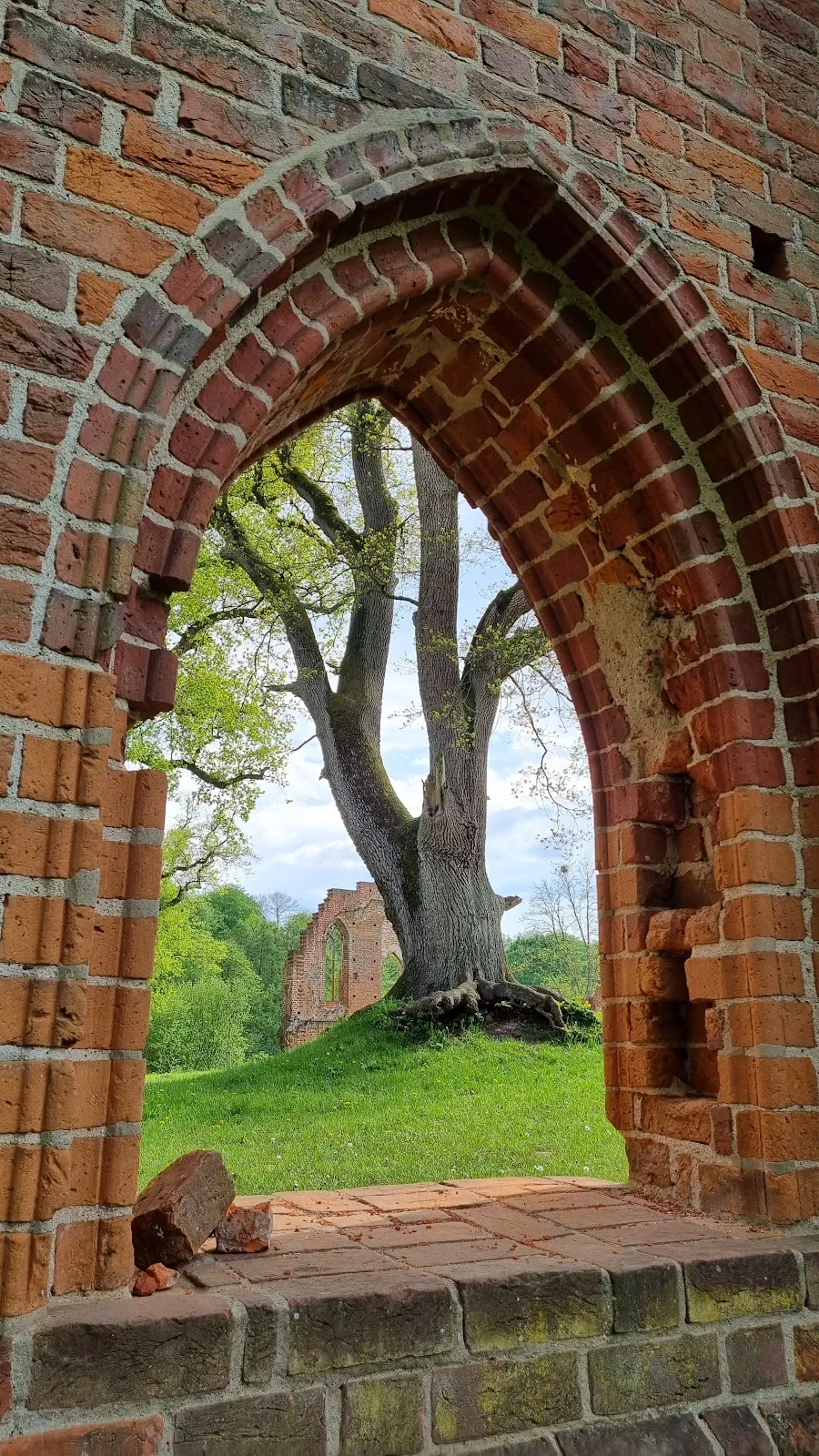 Затерянные в зелени