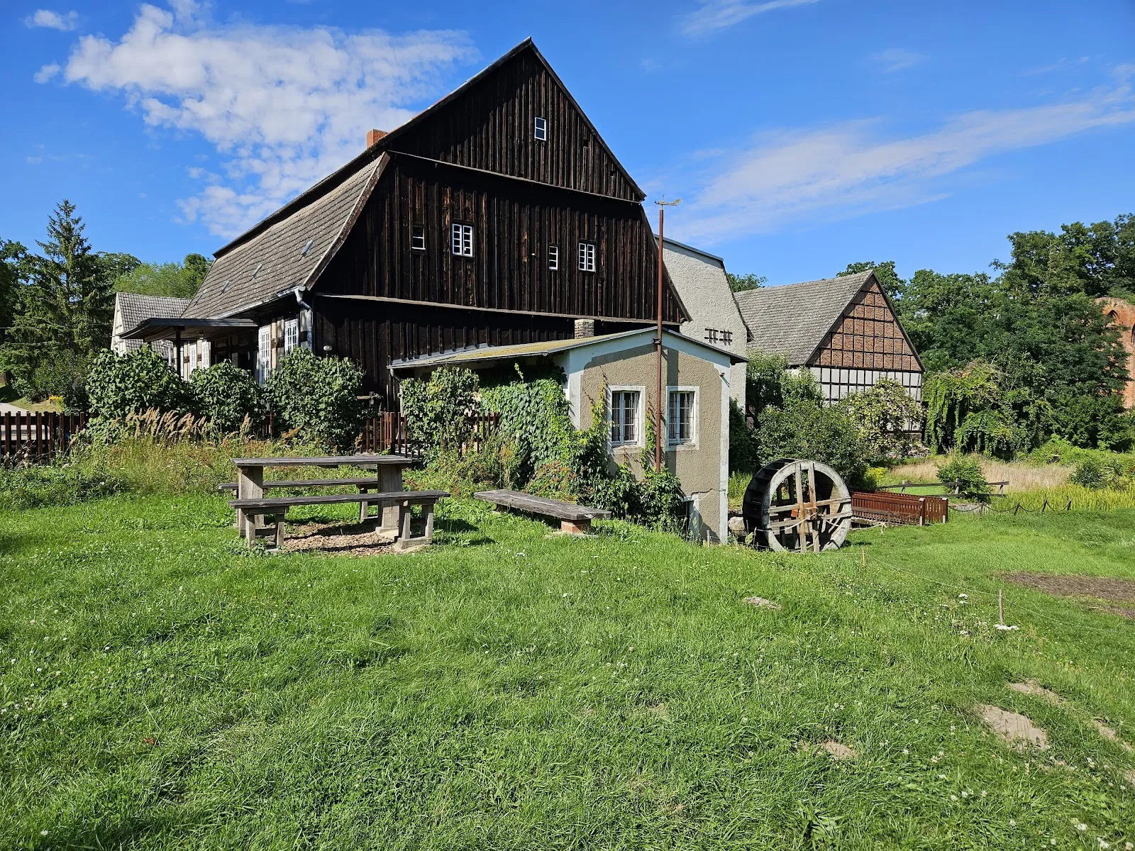 Затерянные в зелени