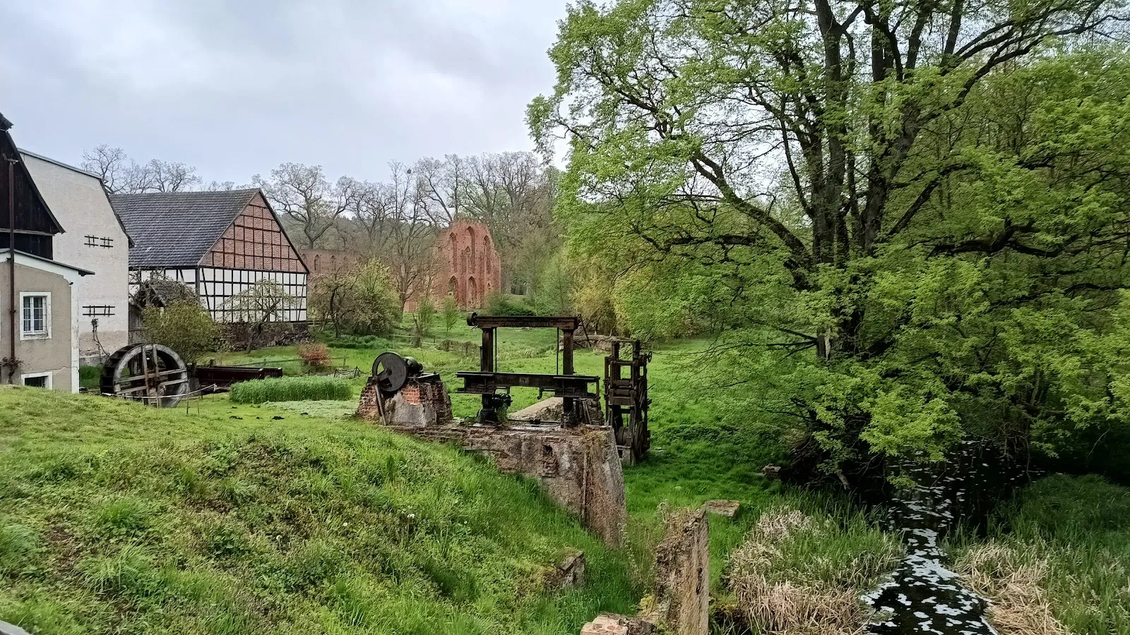 Затерянные в зелени