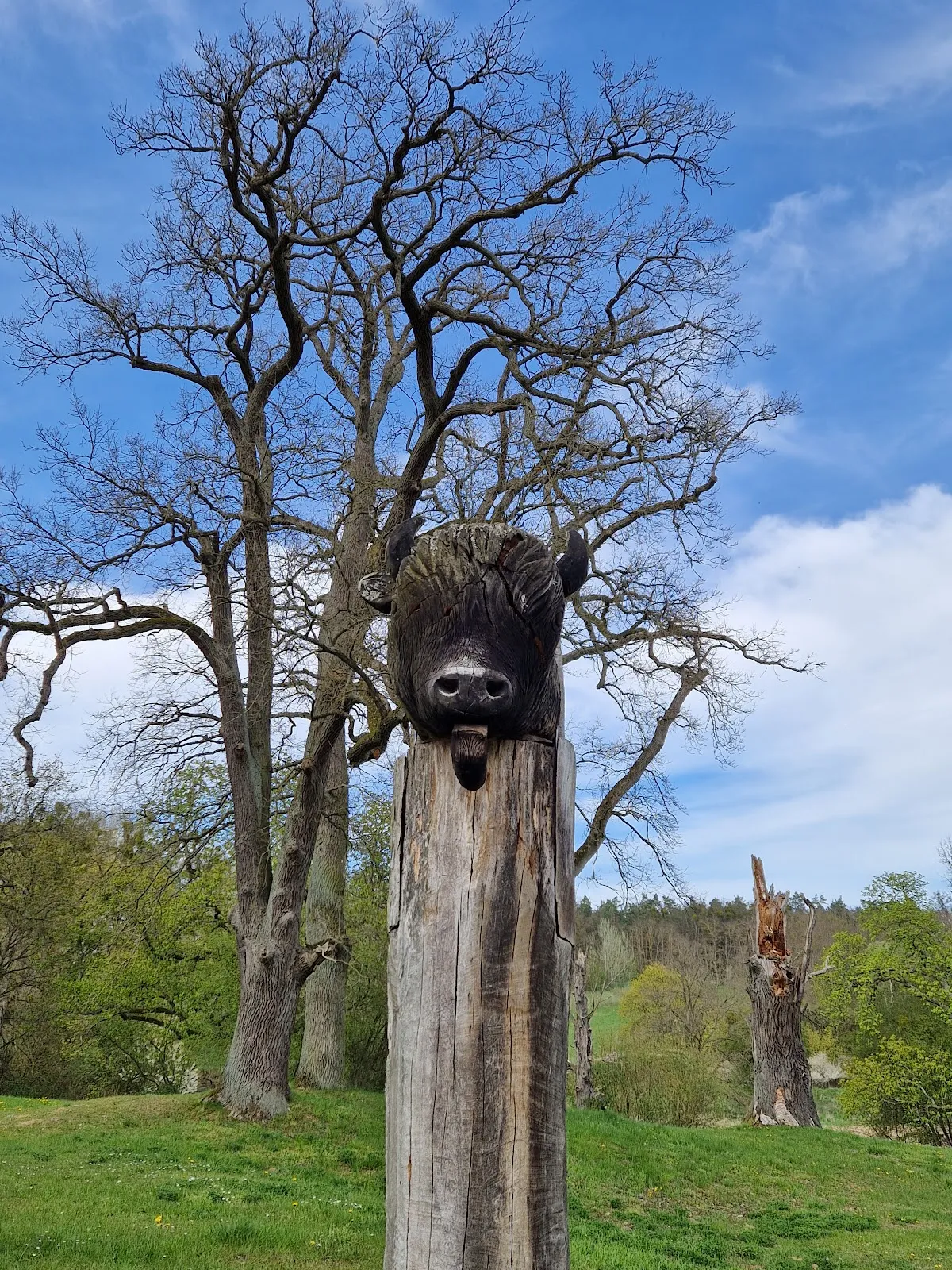 Затерянные в зелени