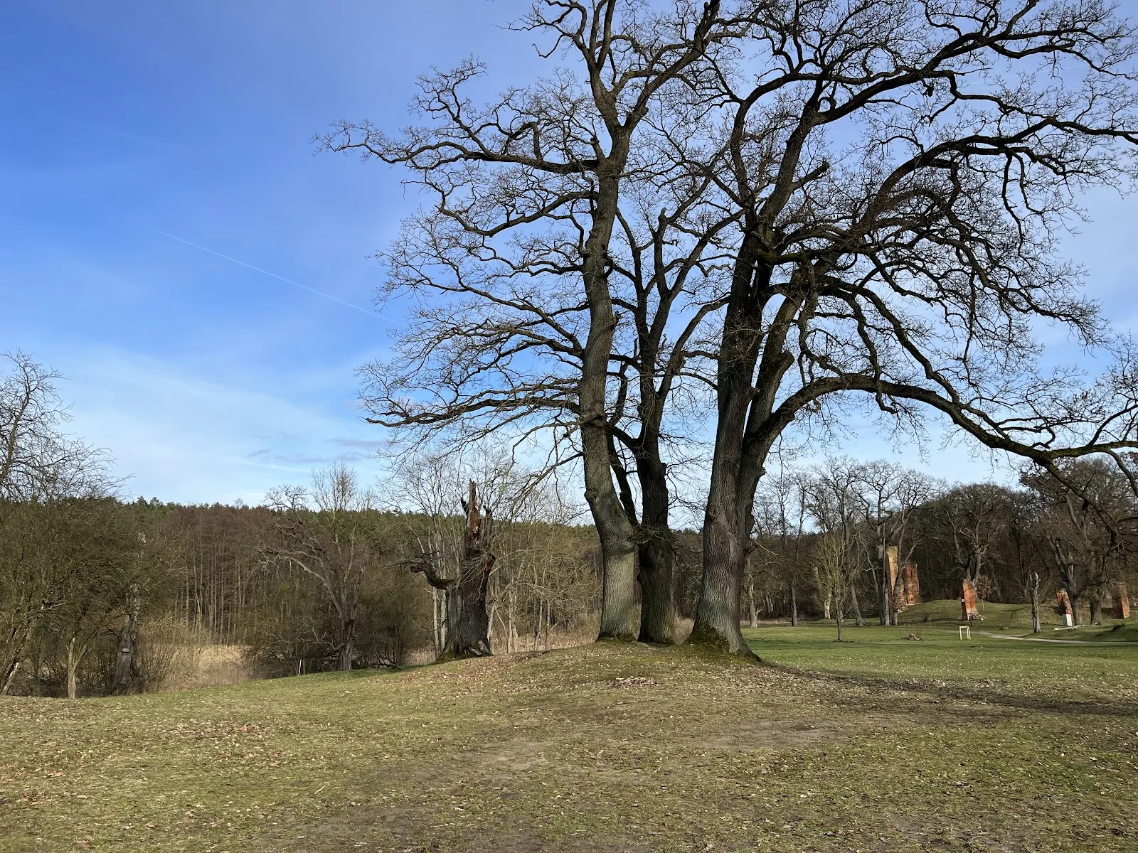 Затерянные в зелени