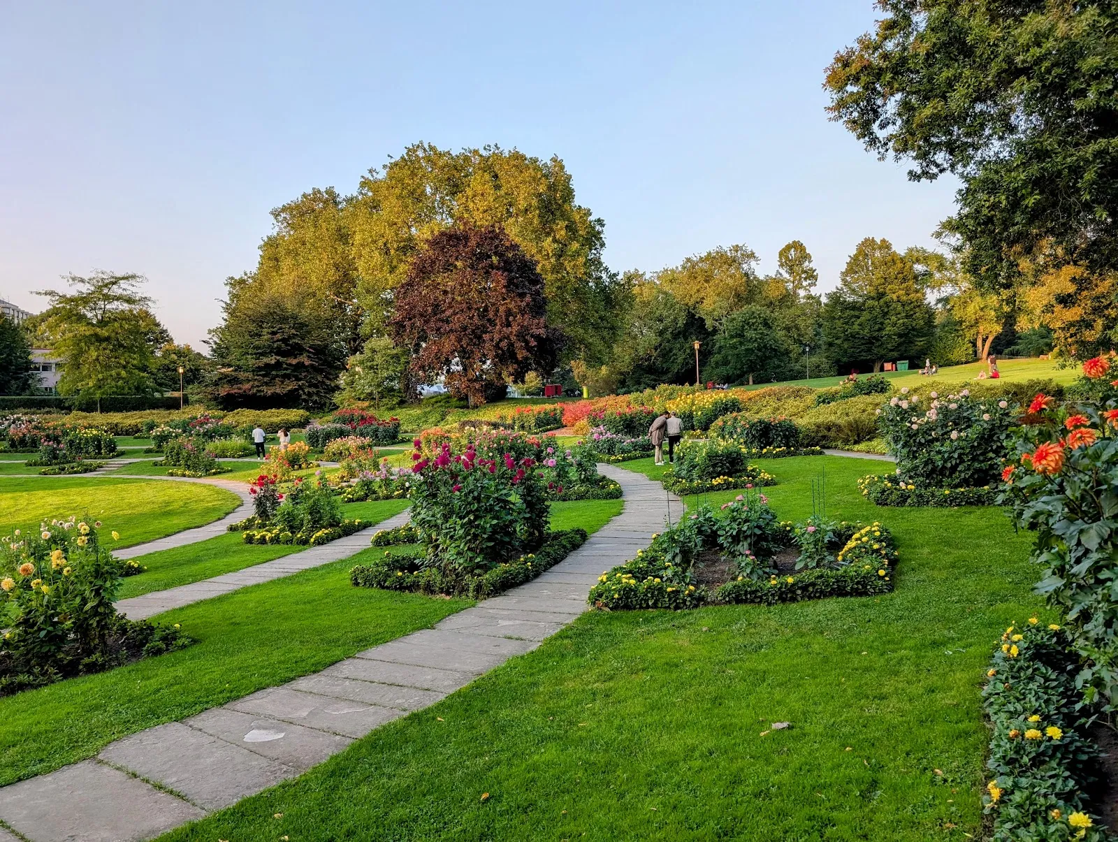 Зеленый Лабиринт в Эссене, Германия, зеленые стены, извилистые тропинки