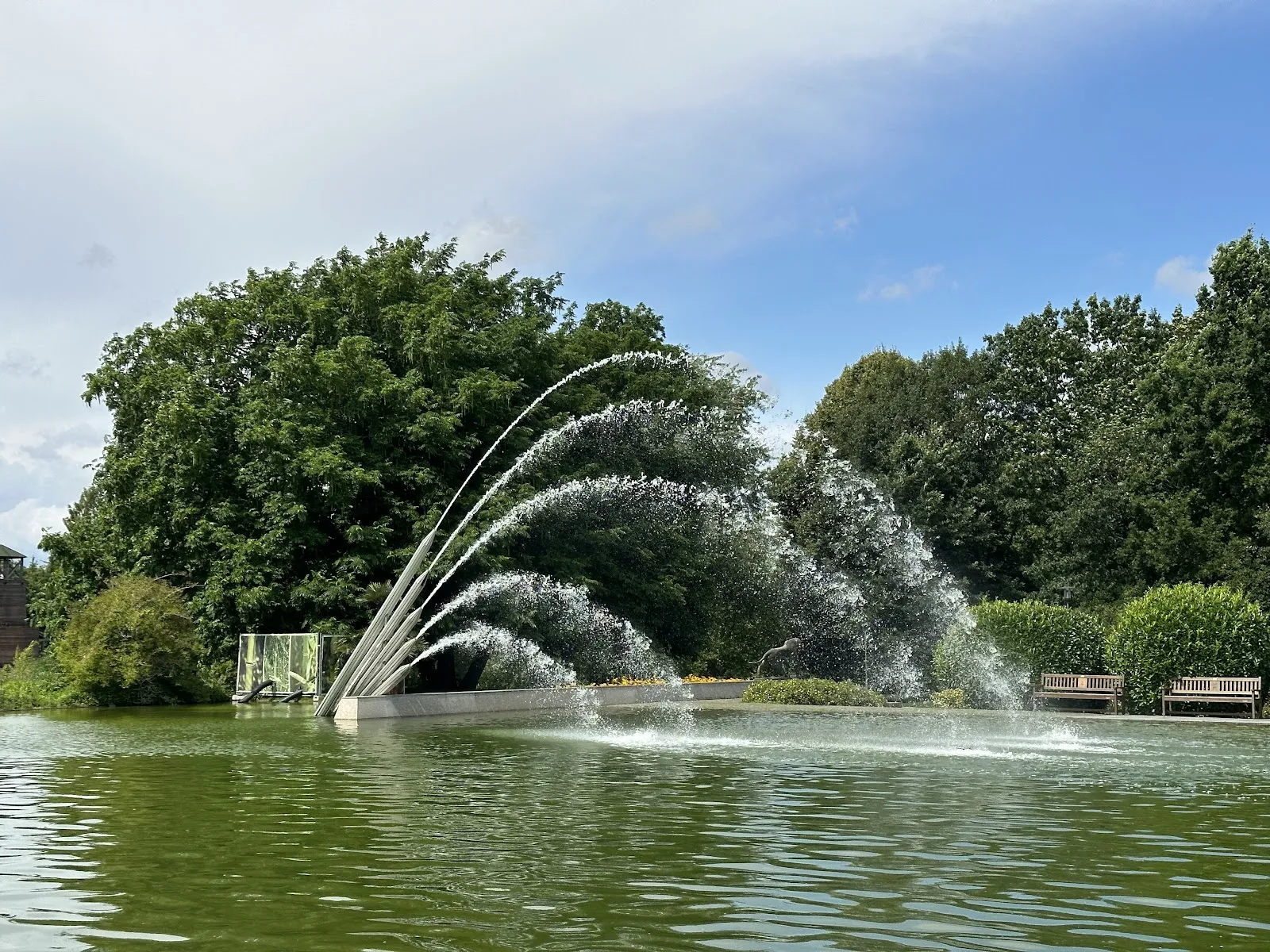 Зеленый Лабиринт в Эссене, Германия, зеленые стены, извилистые тропинки