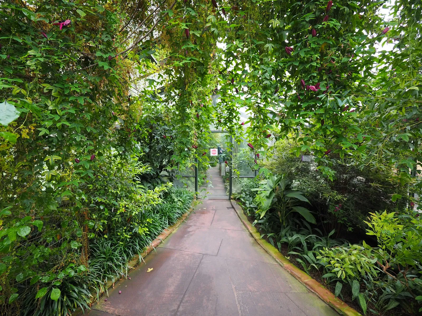 Зимний сад / Дом пальм