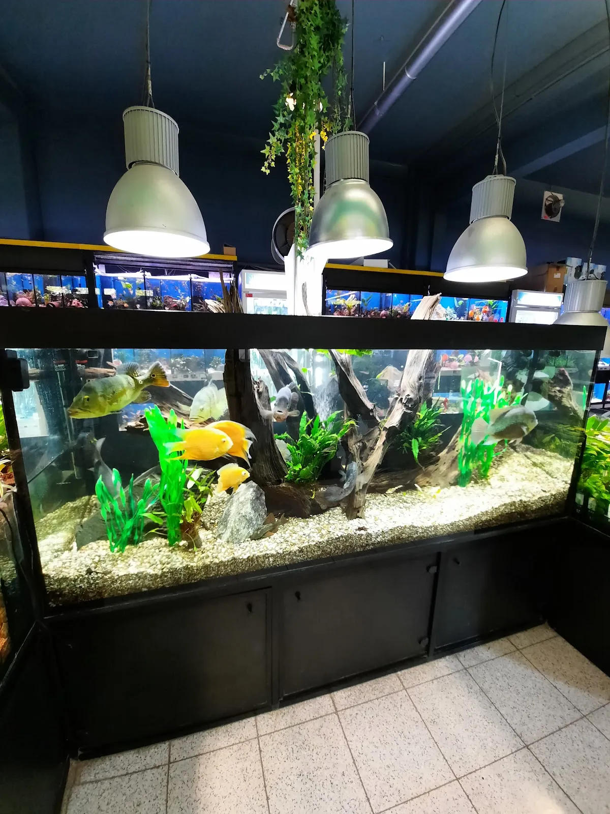 Зоомагазин Зоокауф Ганновер с аквариумами и рыбками