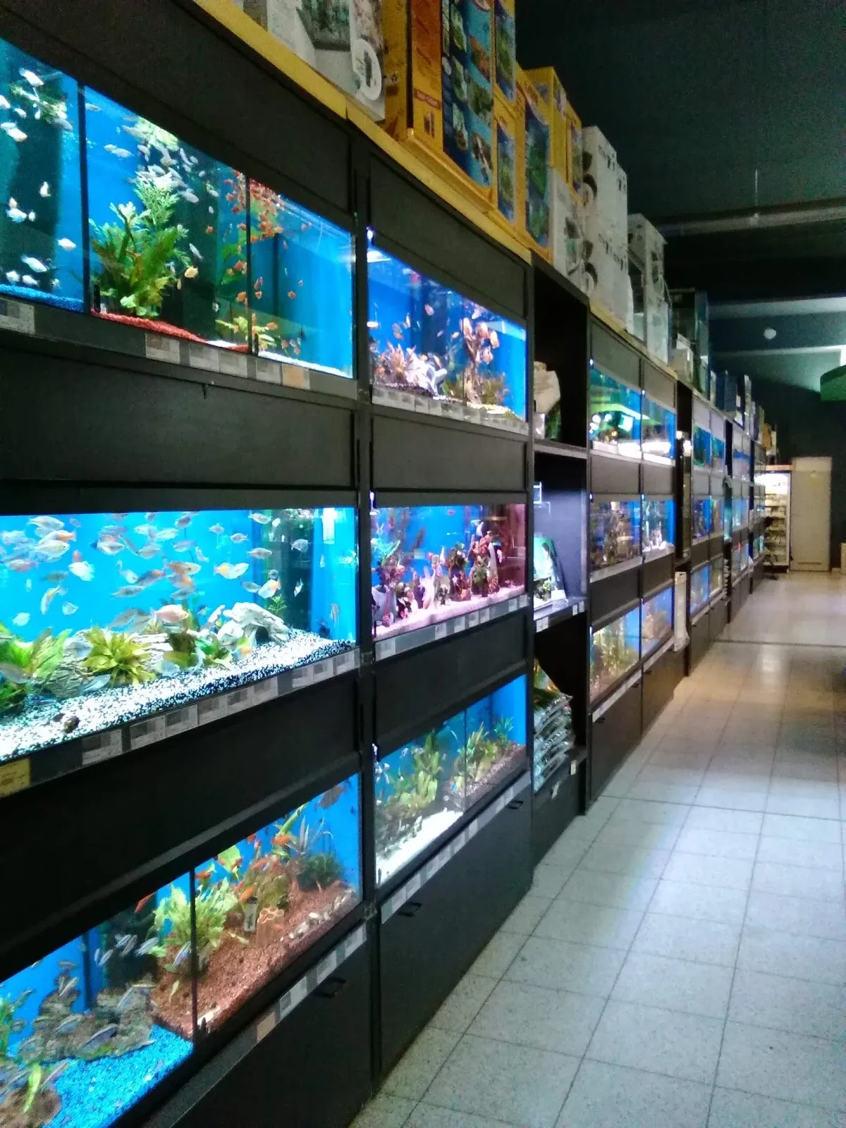 Зоомагазин Зоокауф Ганновер с аквариумами и рыбками