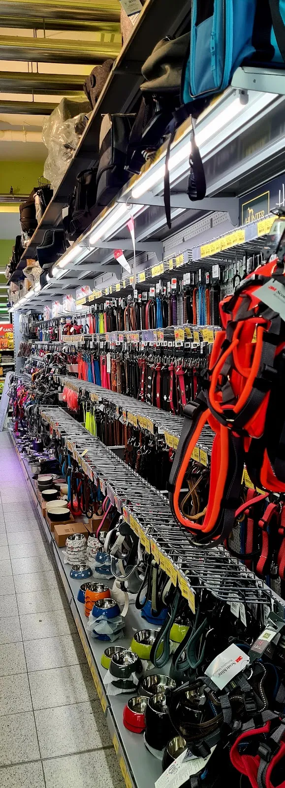 Зоомагазин Зоокауф Ганновер с аквариумами и рыбками