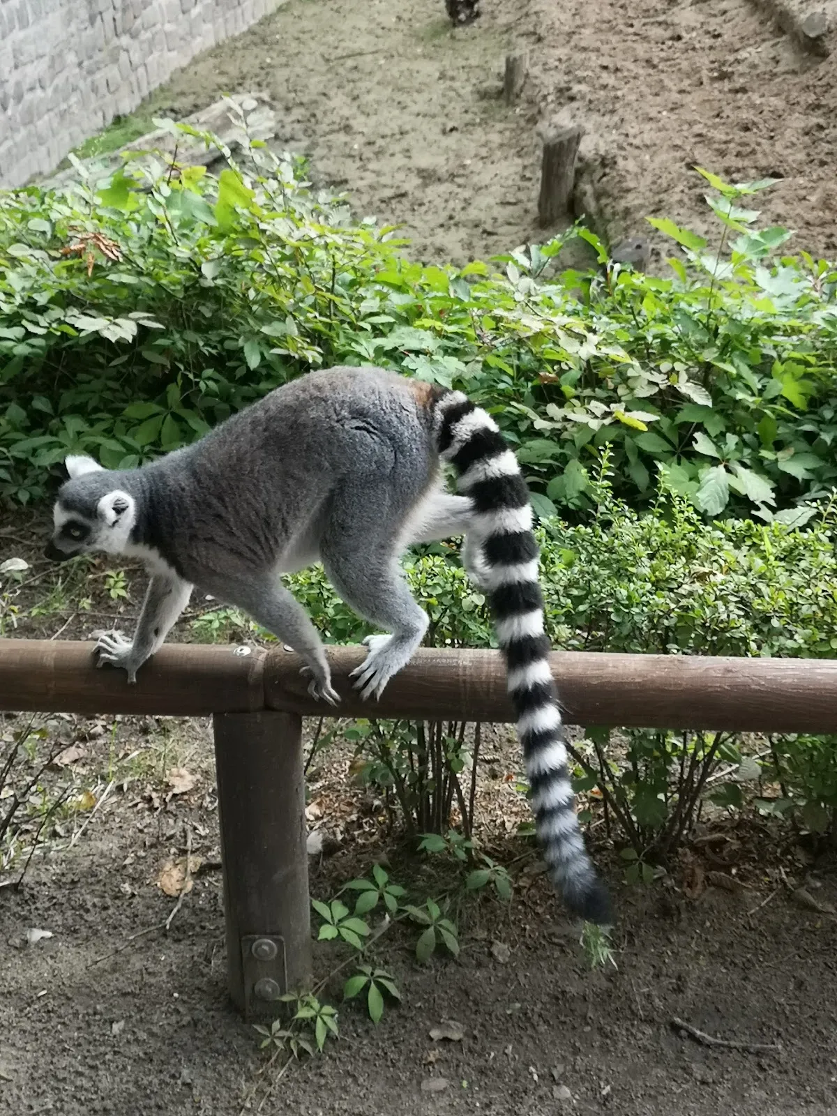 Зоологический сад Эберсвальде