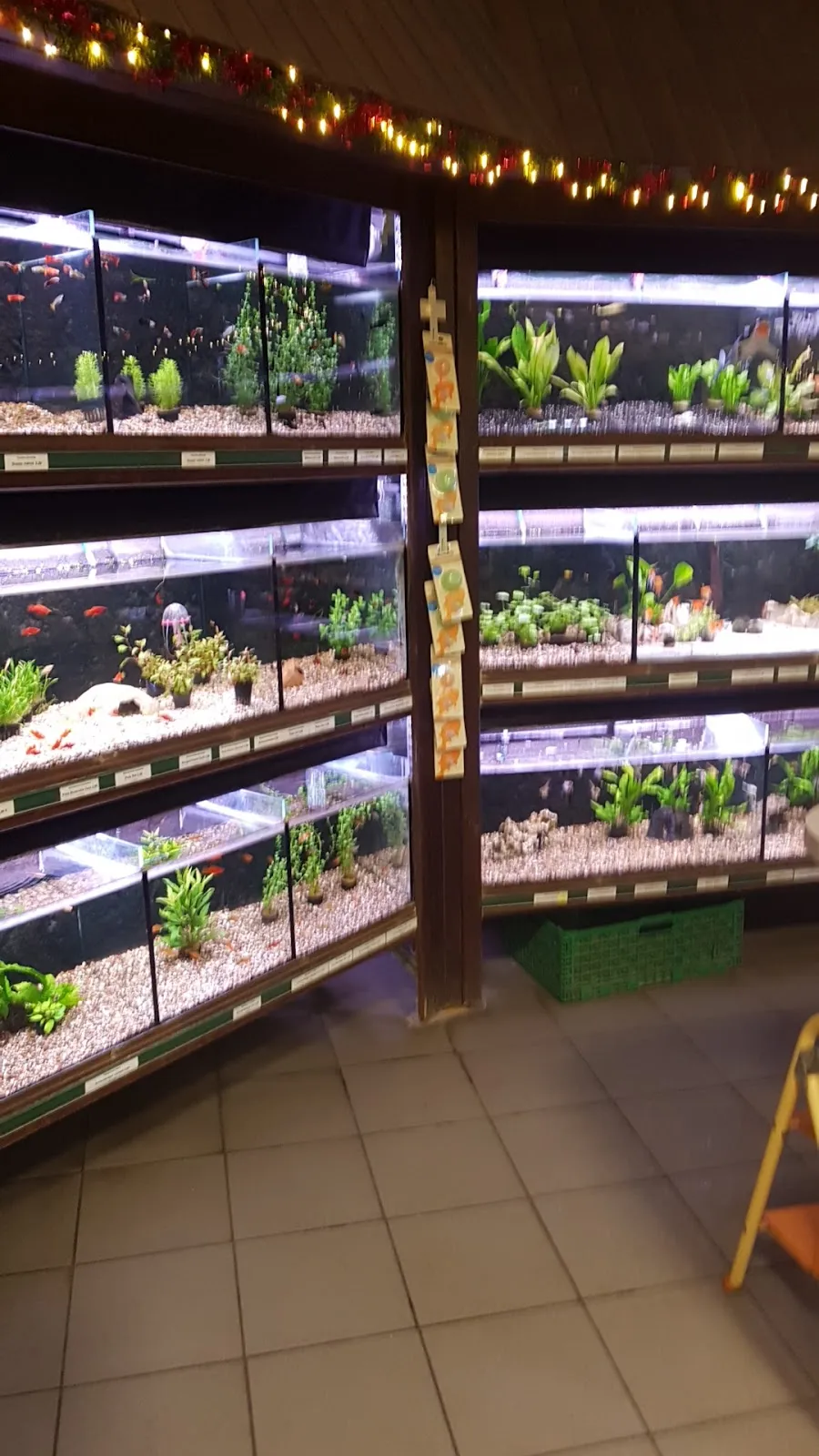 Витрина зоомагазина В. Швекунеке с товарами для животных